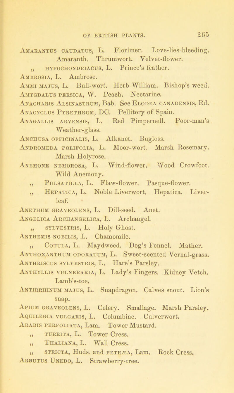 Amarantus caudatus, L. Florimer. Love-lies-bleeding. Amaranth. Thrumwort. Velvet-flower. „ hypochondriacus, L. Prince’s feather. Ambrosia, L. Ambrose. Ammi majus, L. Bull-wort. Herb William. Bishop’s weed. Amygdalus persica, W. Peach. Nectarine. Anacharis Alsinastrum, Bab. See Elodea canadensis, Rd. Anacyclus Pyrethrum, DC. Pellitory of Spain. Anagallis arvensis, L. Red Pimpernell. Poor-man’s Weather-glass. Anchusa officinalis, L. Alkanet. Bugloss. Andromeda polifolia, L. Moor-wort. Marsh Rosemary. Marsh Holy rose. Anemone nemorosa, L. Wind-flower. Wood Crowfoot. Wild Anemony. „ Pulsatilla, L. Flaw-flower. Pasque-flower. „ Hepatica, L. Noble Liverwort. Hepatica. Liver- leaf. Anethum graveolens, L. Dill-seed. Anet. Angelica Archangelica, L. Archangel. „ sylvestris, L. Holy Ghost. Anthemis nobilis, L. Chamomile. „ Cotula, L. Maydweed. Dog’s Fennel. Mather. Anthoxanthum odoratum, L. Sweet-scented Vernal-grass. Anthriscus sylvestris, L. Hare’s Parsley. Anthyllis vulneraria, L. Lady’s Fingers. Kidney Vetch. Lamb’s-toe. Antirrhinum majus, L. Snapdragon. Calves snout. Lion’s snap. Apium graveolens, L. Celery. Smallage. Marsh Parsley. Aquilegia vulgaris, L. Columbine. Culverwort. Arabis perfoliata, Lam. Tower Mustard. „ turrita, L. Tower Cress. „ Tiialiana, L. Wall Cress. „ stricta, Huds. and petrjea, Lam. Rock Cress. Arbutus Unedo, L. Strawberry-tree.