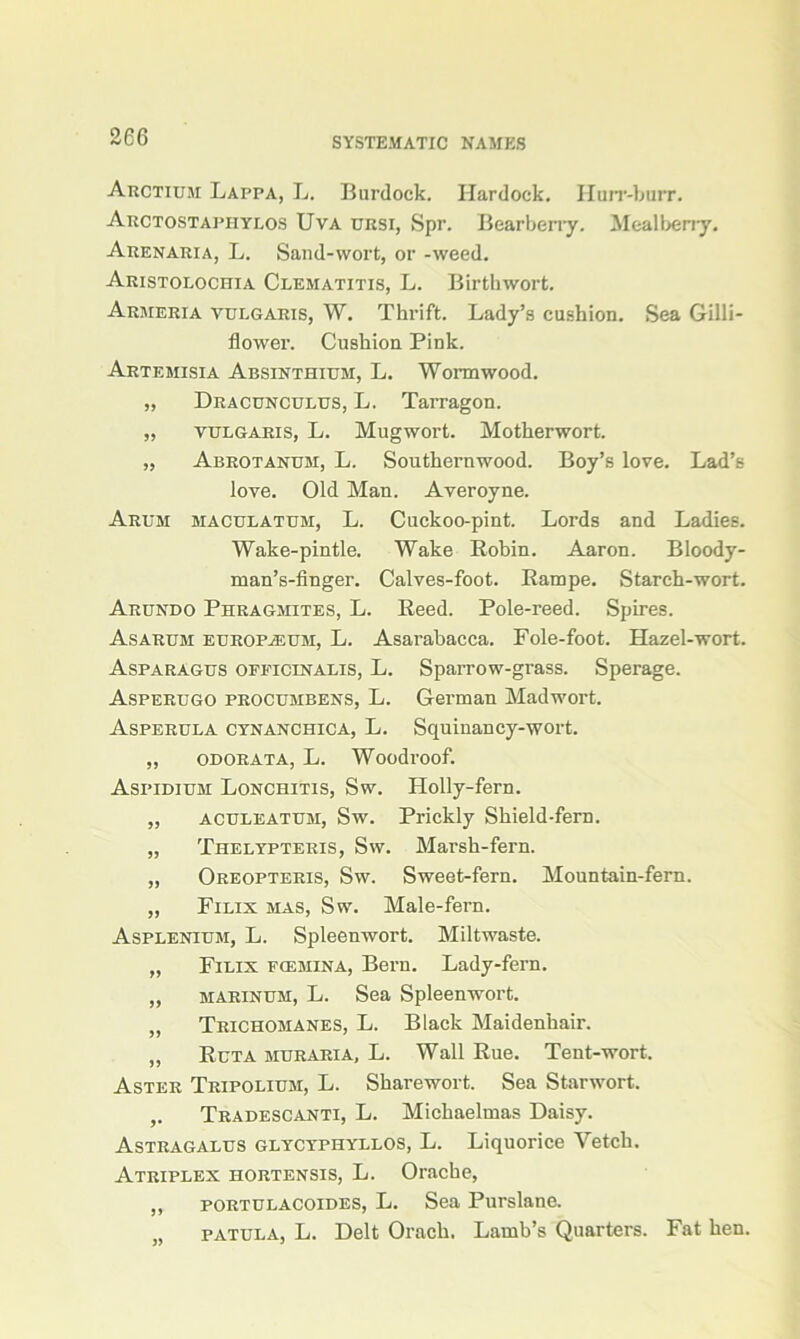 Arctium Lappa, L. Burdock. Hardock. Hurr-burr. Arctostaphylos Uva ursi, Spr. Bearberry. Mealberry. Arenaria, L. Sand-wort, or -weed. Aristolochia Clematitis, L. Birthwort. Armeria vulgaris, W. Thrift. Lady’s cushion. Sea Gilli- flower. Cushion Pink. Artemisia Absinthium, L. Wormwood. „ Dracunculus, L. Tarragon. „ vulgaris, L. Mugwort. Motherwort. „ Abrotanum, L. Southernwood. Boy’s love. Lad’s love. Old Man. Averoyne. Arum maculatum, L. Cuckoo-pint. Lords and Ladies. Wake-pintle. Wake Robin. Aaron. Bloody- man’s-finger. Calves-foot. Rampe. Starch-wort. Arundo Phragmites, L. Reed. Pole-reed. Spires. Asarum EUROPiEUM, L. Asarabacca. Foie-foot. Hazel-wort. Asparagus officinalis, L. Sparrow-grass. Sperage. Asperugo procumbens, L. German Madwort. Asperula cynanchica, L. Squinancy-wort. „ odorata, L. Woodroof. Aspidium Lonchitis, Sw. Holly-fern. „ aculeatum, Sw. Prickly Shield-fern. „ Thelypteris, Sw. Marsh-fern. „ Oreopteris, Sw. Sweet-fern. Mountain-fern. „ Filix mas, Sw. Male-fern. Asplenium, L. Spleenwort. Miltwaste. „ Filix fcemina, Bern. Lady-fern. „ marinum, L. Sea Spleenwort. „ Trichomanes, L. Black Maidenhair. „ Ruta muraria, L. Wall Rue. Tent-wort. Aster Tripolium, L. Sharewort. Sea Starwort. ,. Tradescanti, L. Michaelmas Daisy. Astragalus glycyphyllos, L. Liquorice Vetch. Atriplex hortensis, L. Orache, ,, portulacoides, L. Sea Purslane. „ patula, L. Delt Orach. Lamb’s Quarters. Fat hen.