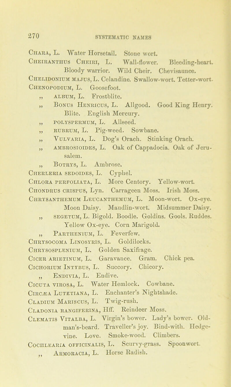 Chara, L. Water Horsetail. Stone wort. Chbiranthus Cheiri, L. Wall-flower. Bleeding-heart. Bloody warrior. Wild Cheir. Chevisaunce. Chei.idonidm majus, L. Celandine. Swallow-wort. Tetter-wort. Chenopodium, L. Goosefoot. „ album, L. Frostblite. „ Bonus Henricus, L. Allgood. Good King Henry. Blite. English Mercuiy. „ polyspermum, L. Allseed. „ rubrum, L. Pig-weed. Sowbane. „ Yulvaria, L. Dog’s Orach. Stinking Orach. „ ambrosioides, L. Oak of Cappadocia. Oak of Jeru- salem. „ Botrys, L. Ambrose. Cherleria sedoides, L. Cyphel. Chlora perfoliata, L. More Centory. Yellow-wort. Chondrus crispus, Lyn. Carrageen Moss. Irish Moss. Chrysanthemum Leucanthemum, L. Moon-wort. Ox-eye. Moon Daisy. Maudlin-wort. Midsummer Daisy. „ segetum, L. Bigold. Boodle. Goldins. Gools. Ruddes. Yellow Ox-eye. Corn Marigold. „ Parthenium, L. Feverfew. Chrysocoma Linosyris, L. Goldilocks. Chrysosplenium, L. Golden Saxifrage. Cicer arietinum, L. Garavance. Gram. Chick pea. Cichorium Intybus, L. Succory. Chicory. „ Endivia, L. Endive. Cicuta virosa, L. Water Hemlock. Cowbane. Circala Lutetiana, L. Enchanter’s Nightshade. Cladium Mariscus, L. Twig-rush. Cladonia rangiferina, Hff. Reindeer Moss. Clematis Vitalba, L. Virgin’s bower. Lady’s bower. Old- man’s-beard. Traveller’s joy. Bind-with. Hedge- vine. Love. Smoke-wood. Climbers. Cochlearia OFFICINALIS, L. Scurvy-grass. Spoonwort. „ Armoracia, L. Horse Radish.