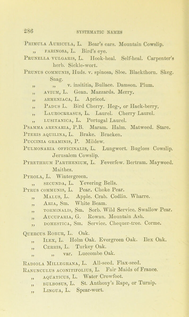 Primula Auricula, L. Bear’s ears. Mountain Cowslip. „ farinosa, L. Bird’s eye. Prunella vulgaris, L. Hook-heal. Self-heal. Carpenter’s herb. Sickle-wort. Prunus communis, Huds. v. spinosa, Sloe. Blackthorn. Skeg. Snag. „ „ v. insititia, Bullace. Damson. Plum. „ avium, L. Gean. Mazzards. Merry. „ armeniaca, L. Apricot. „ Padus L. Bird Cherry. Heg-, or Hack-berry. „ Laurocerasus, L. Laurel. Cherry Laurel. „ lusitanica, L. Portugal Laurel. Psamma arenaria, P.B. Maram. Halm. Matweed. Stare. Pteris aquilina, L. Brake. Bracken. Puccinia graminis, P. Mildew. PuLMONARIA OFFICINALIS, L. Lungwort. BugloSS Cowslip. Jerusalem Cowslip. Pyrethrum Parthenium, L. Feverfew. Bertram. Mayweed. Maithes. Ptrola, L. Wintergreen. „ secunda, L. Yevering Bells. Pyrus communis, L. Pear. Choke Pear. „ Malus, L. Apple. Crab. Codlin. Wharre. „ Aria, Sm. White Beam. „ torminalis, Sm. Sorb. Wild Service. Swallow Pear. „ Aucuparia, G. Rowan. Mountain Ash. ,, domestica, Sm. Service. Chequer-tree. Corme. Quercus Robur, L. Oak. „ Ilex, L. Holm Oak. Evergreen Oak. Ilex Oak. „ Cerkis, L. Turkey Oak. n „ var. Luccombe Oak. Radiola Millegrana, L. All-seed. Flax-seed. Ranunculus aconitifolius, L. Fair Maids of France. „ aquaticus, L. Water Crowfoot. „ bulbosus, L. St. Anthony’s Rape, or Turnip. „ Lingua, L. Spear-wort.