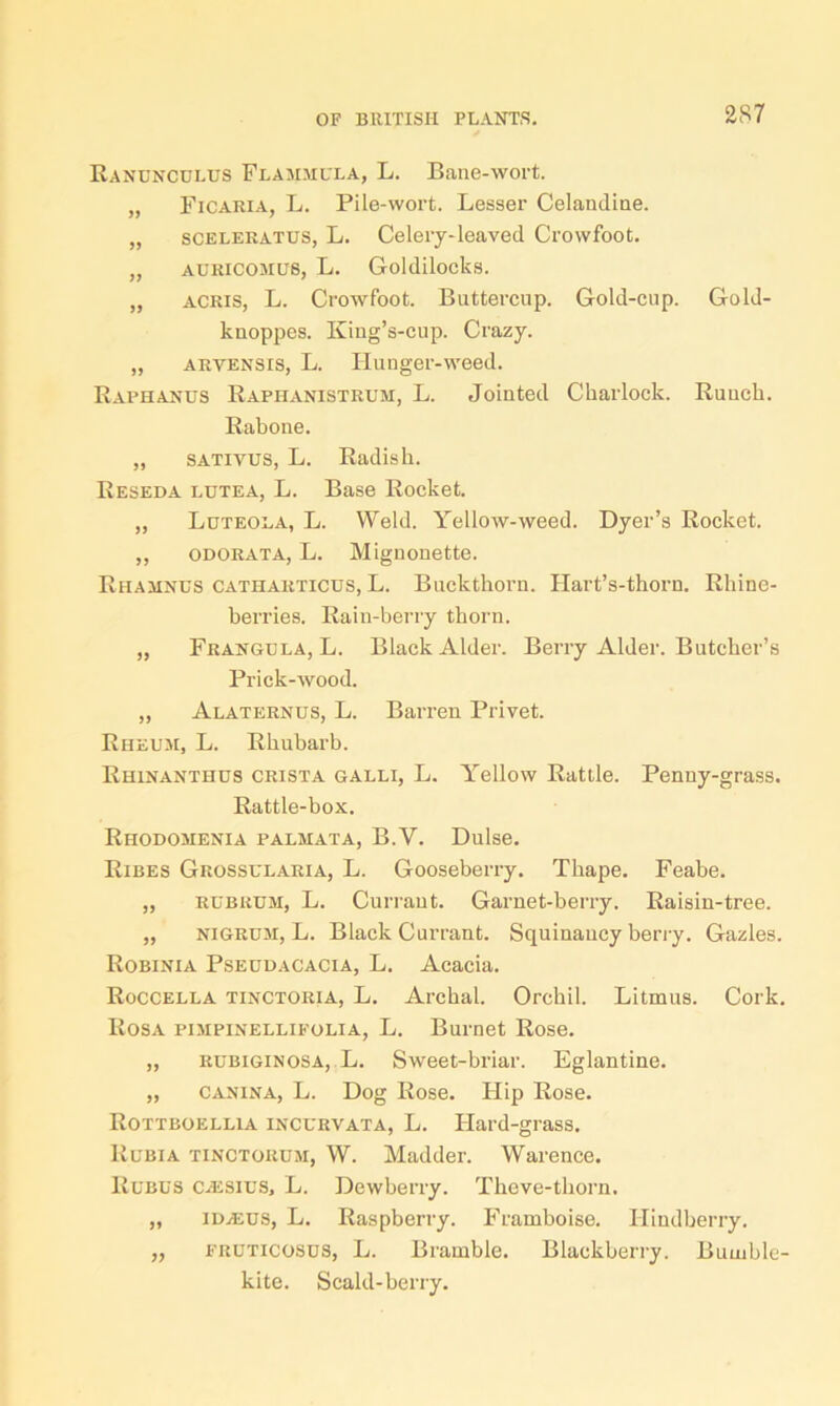 Ranunculus Flammula, L. Bane-wort. „ Ficaria, L. Pile-wort. Lesser Celandine. „ sceleratus, L. Celery-leaved Crowfoot. „ auricomus, L. Goldilocks. „ acris, L. Crowfoot. Buttercup. Gold-cup. Gold- knoppes. King’s-cup. Crazy. „ arvensis, L. Hunger-weed. Raphanus Raphanistrum, L. Jointed Charlock. Ruuck. Rabone. „ sativus, L. Radish. Reseda lutea, L. Base Rocket. „ Luteola, L. Weld. Yellow-weed. Dyer’s Rocket. ,, odorata, L. Mignonette. Rhamnus catharticus, L. Buckthorn. Hart’s-thorn. Rhine- berries. Rain-berry thorn. „ Frangula, L. Black Alder. Berry Alder. Butcher’s Prick-wood. „ Alaternus, L. Barren Privet. Rheum, L. Rhubarb. Rhinanthus crista galli, L. Yellow Rattle. Penny-grass. Rattle-box. Rhodomenia palmata, B.V. Dulse. Ribes Grossularia, L. Gooseberry. Tbape. Feabe. „ rubkum, L. Currant. Garnet-berry. Raisin-tree. „ nigrum, L. Black Currant. Squinaucy berry. Gazles. Robinia Pseudacacia, L. Acacia. Roccella tinctoria, L. Arcbal. Orchil. Litmus. Cork. Rosa pimpinellifolia, L. Burnet Rose. „ rubiginosa, L. Sweet-briar. Eglantine. „ canina, L. Dog Rose. Hip Rose. Rottboellia incurvata, L. Flard-grass. Rubia tinctorum, W. Madder. Warence. Rubus CAisius, L. Dewberry. Theve-tborn. „ iideus, L. Raspberry. Framboise. Iliudberry. ,, fruticosus, L. Bramble. Blackberry. Bumble- kite. Scald-berry.