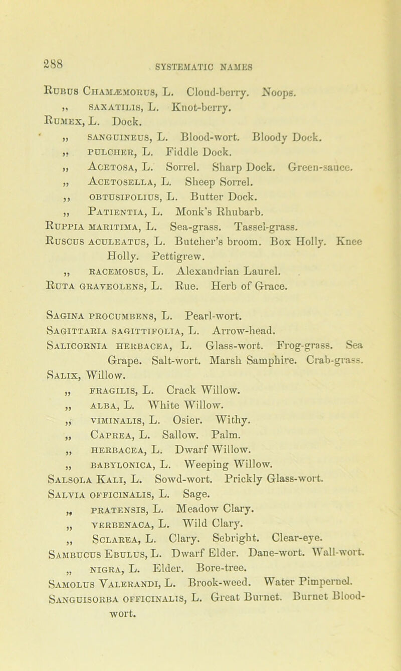 Rubus Chamvemorus, L. Cloud-berry. Noops. >, SAXATiLis, L. Knot-berry. Rumex, L. Dock. „ sanguineus, L. Blood-wort. Bloody Dock. FULCHER, L. Fiddle Dock. „ Acetosa, L. Sorrel. Sharp Dock. Green-sauce. „ Acetosella, L. Sheep Sorrel. ,, obtusifolius, L. Butter Dock. „ Patientia, L. Monk's Rhubarb. Ruppia maritima, L. Sea-grass. Tassel-grass. Ruscus aculeatus, L. Butcher’s broom. Box Holly. Knee Holly. Pettigrew. ,, racemosus, L. Alexandrian Laurel. Ruta grayeolens, L. Rue. Herb of Grace. Sagina procumbens, L. Pearl-wort. Sagittaria sagittifolia, L. Arrow-bead. Salicornia herbacea, L. Glass-wort. Frog-grass. Sea Grape. Salt-wort. Marsh Samphire. Crab-grass. Salix, Willow. „ fragilis, L. Crack Willow. ,, alba, L. White Willow. „ viminalis, L. Osier. Withy. „ Caprea, L. Sallow. Palm. „ herbacea, L. Dwarf Willow. „ babylonica, L. Weeping Willow. Salsola Kali, L. Sowd-wort. Prickly Glass-wort. Salvia officinalis, L. Sage. „ pratensis, L. Meadow Clary. „ verbenaca, L. Wild Clary. „ Sclarea, L. Clary. Sebright. Clear-eye. Sambucus E bulus, L. Dwarf Elder. Dane-wort. Wall-wort. „ nigra, L. Elder. Bore-tree. Samolus Vai.erandi, L. Brook-weed. Water Pimpernel. Sanguisorba officinalis, L. Great Burnet. Burnet Blood- wort.