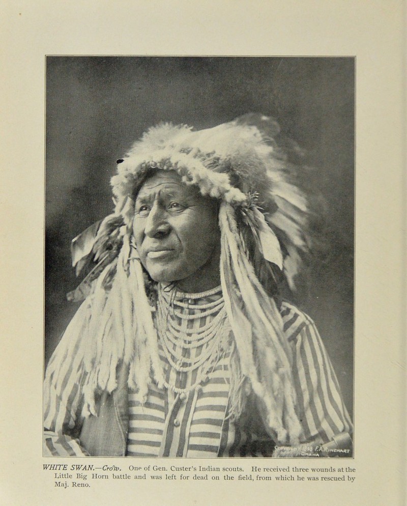 WHITE SWAN. CrcDv. One of Gen. Custer’s Indian scouts. He received three wounds at the I.ittle Biy Horn battle and was left for dead on the field, from which he was rescued by Maj. Reno.