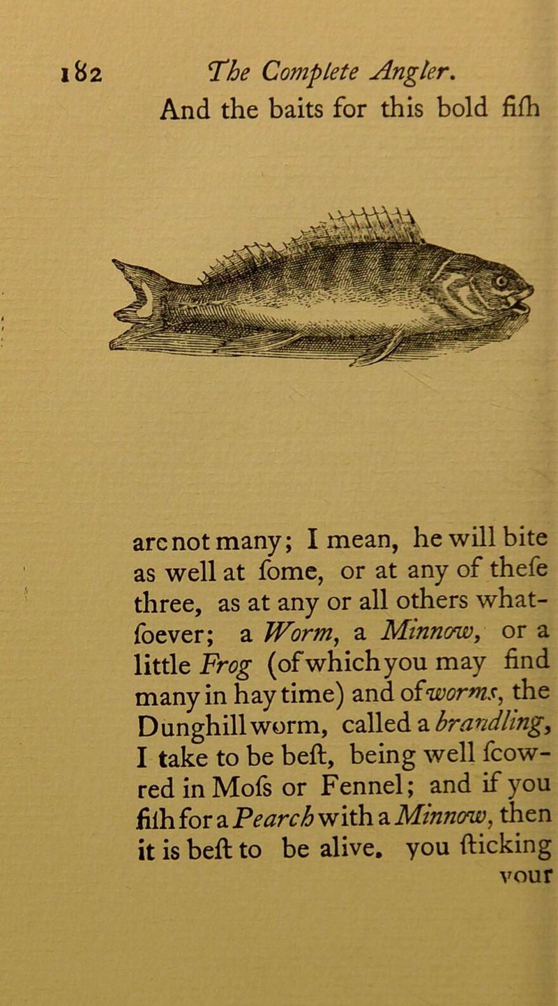 And the baits for this bold fifh p > arc not many; I mean, he will bite as well at fome, or at any of thefe three, as at any or all others what- foever; a Worm, a Minnow, or a little (ofwhichyou may find many in hay time) and oiworms, the Dunghill worm, called a brandling, I take to be beft, being well fcow- red in Mofs or Fennel; and if you filh for a Pearch with a Minnow, then it is beft to be alive, you fticking vour