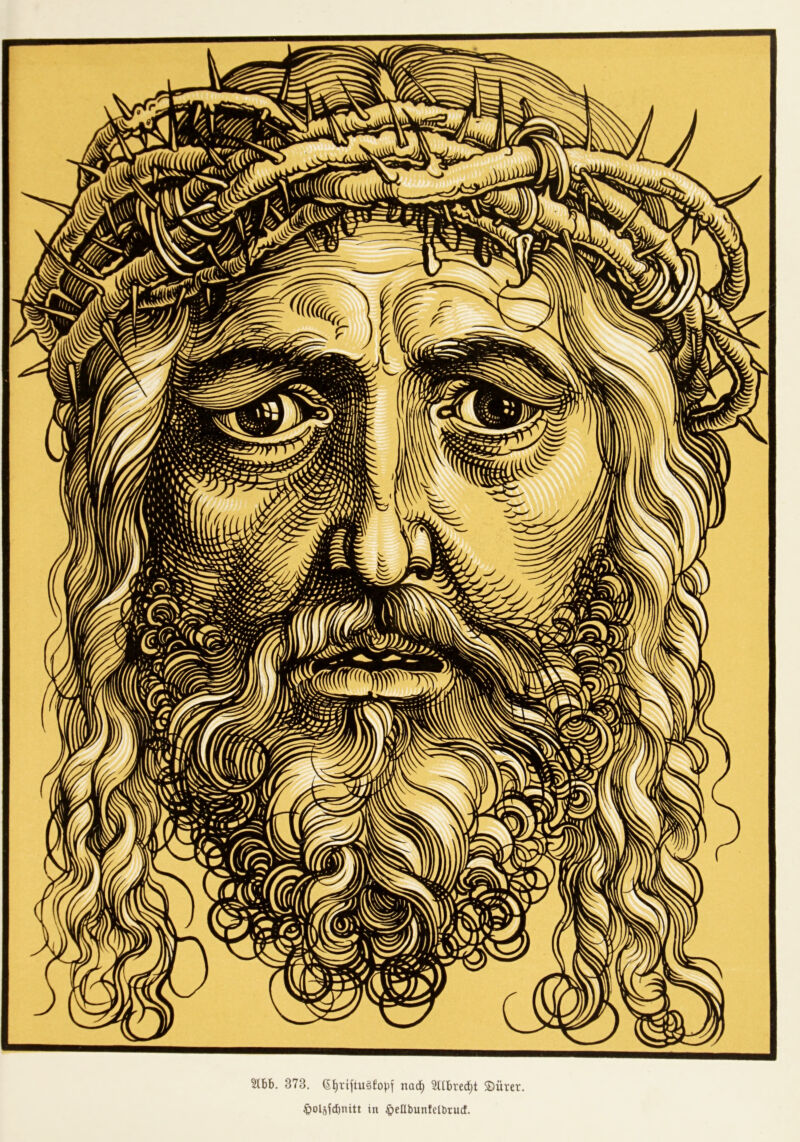 5lbb. 373. G^riftugfopf 5Ubred)t S)ürer. ^)olsjd)nitt in ^eübuntelbtud.