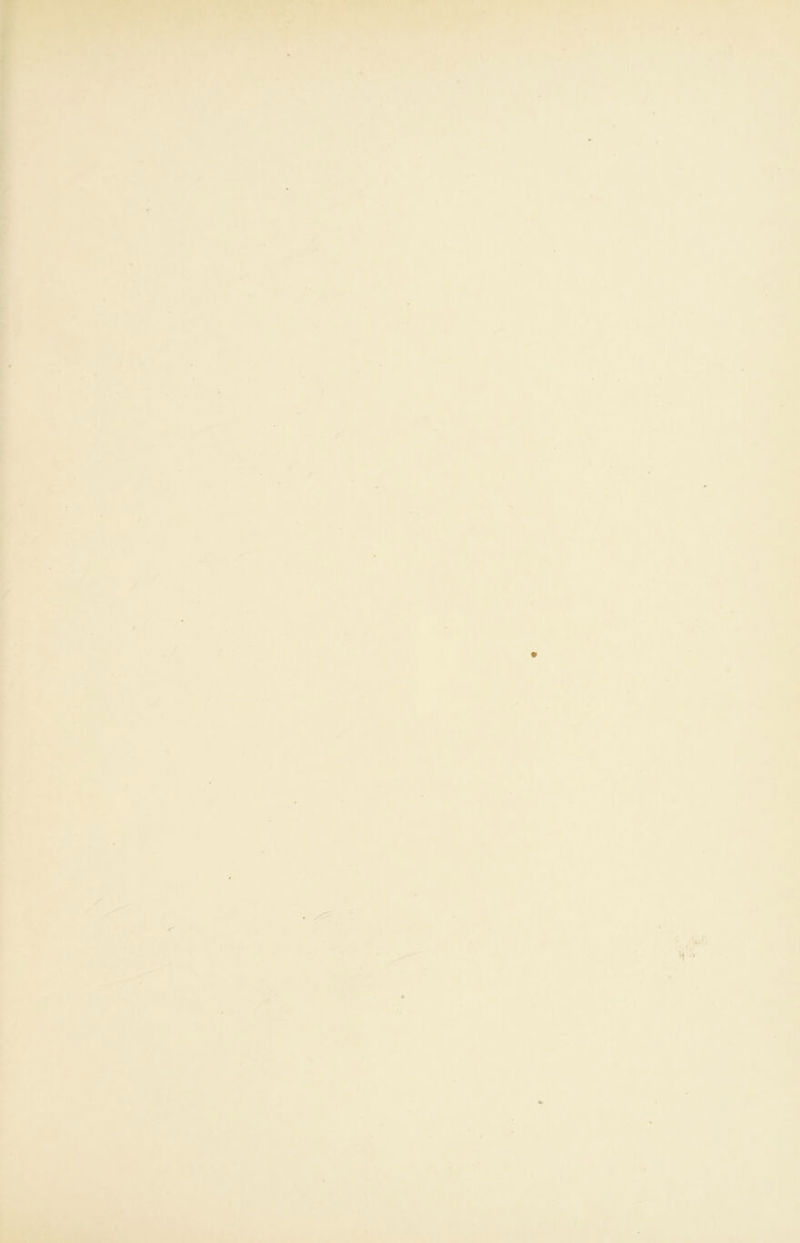 *1 « ä « i k 1 I \ f I f r ■ 1 .',K^- 't ‘'•' L. 4 \ ► 4-