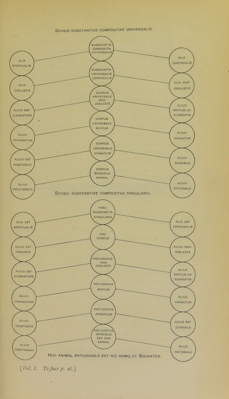 DlVISIO SUBSTANTIAE COMPOSITAE UNIVERSALIS. \Vol. I. Toface p. xl.]