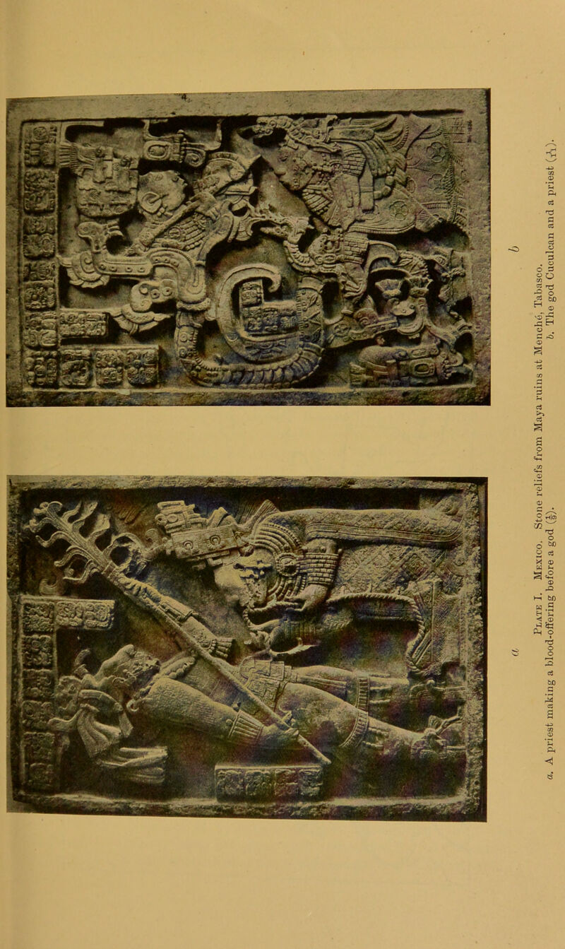 5 ^1® ^ '73 O 6 ^ O d X (B H >-i -D ' bn H < ® p-l O I •n o o o3 bO Q • ^ C3 J3 -O