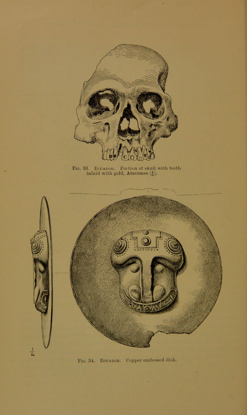 Fig. 33. Ecuador. Portion of skull with teeth inlaid with gold, Atacames (|). U Fig. 34. Ecuador. Copper embossed disk.