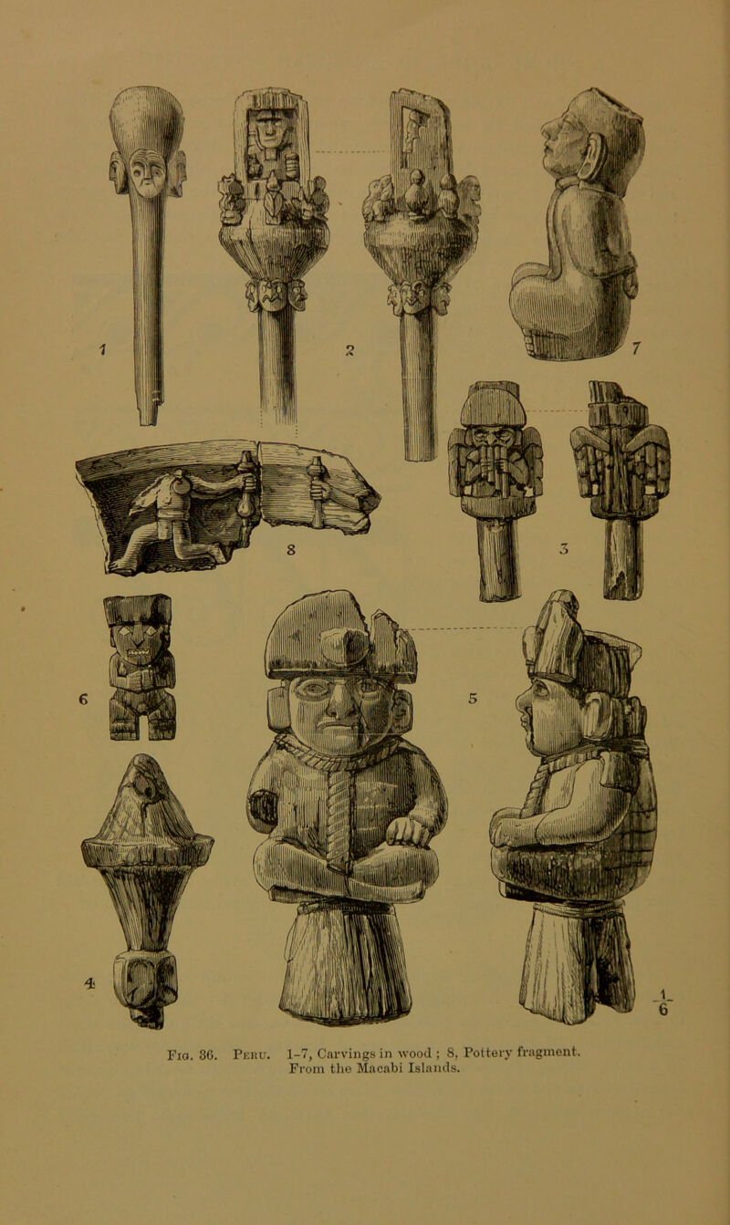 Fio. 3G. Peku. 1-7, Carvings in wood ; 8, Pottery fragment. From the Macabi Islands.