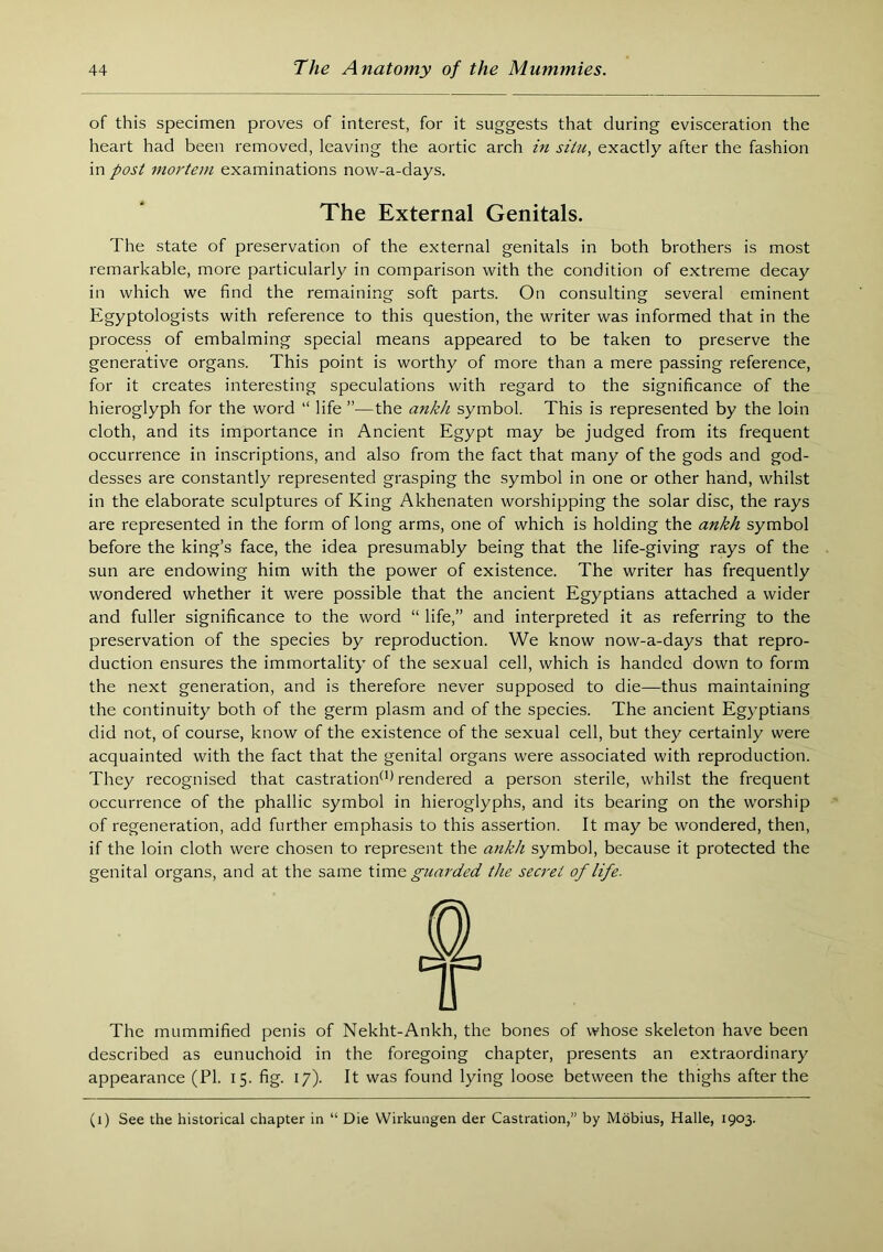 of this specimen proves of interest, for it suggests that during evisceration the heart had been removed, leaving the aortic arch in situ, exactly after the fashion in post mortem examinations now-a-days. The External Genitals. The state of preservation of the external genitals in both brothers is most remarkable, more particularly in comparison with the condition of extreme decay in which we find the remaining soft parts. On consulting several eminent Egyptologists with reference to this question, the writer was informed that in the process of embalming special means appeared to be taken to preserve the generative organs. This point is worthy of more than a mere passing reference, for it creates interesting speculations with regard to the significance of the hieroglyph for the word “ life ”—the ankh symbol. This is represented by the loin cloth, and its importance in Ancient Egypt may be judged from its frequent occurrence in inscriptions, and also from the fact that many of the gods and god- desses are constantly represented grasping the symbol in one or other hand, whilst in the elaborate sculptures of King Akhenaten worshipping the solar disc, the rays are represented in the form of long arms, one of which is holding the ankh symbol before the king’s face, the idea presumably being that the life-giving rays of the sun are endowing him with the power of existence. The writer has frequently wondered whether it were possible that the ancient Egyptians attached a wider and fuller significance to the word “ life,” and interpreted it as referring to the preservation of the species by reproduction. We know now-a-days that repro- duction ensures the immortality of the sexual cell, which is handed down to form the next generation, and is therefore never supposed to die—thus maintaining the continuity both of the germ plasm and of the species. The ancient Egyptians did not, of course, know of the existence of the sexual cell, but they certainly were acquainted with the fact that the genital organs were associated with reproduction. They recognised that castration^'Tendered a person sterile, whilst the frequent occurrence of the phallic symbol in hieroglyphs, and its bearing on the worship of regeneration, add further emphasis to this assertion. It may be wondered, then, if the loin cloth were chosen to represent the ankh symbol, because it protected the genital organs, and at the same iimo. guarded the secret of life. The mummified penis of Nekht-Ankh, the bones of whose skeleton have been described as eunuchoid in the foregoing chapter, presents an extraordinary appearance (PI. 15. fig. 17). It was found lying loose between the thighs after the (i) See the historical chapter in “ Die Wirkungen der Castration,” by Mbbius, Halle, 1903.