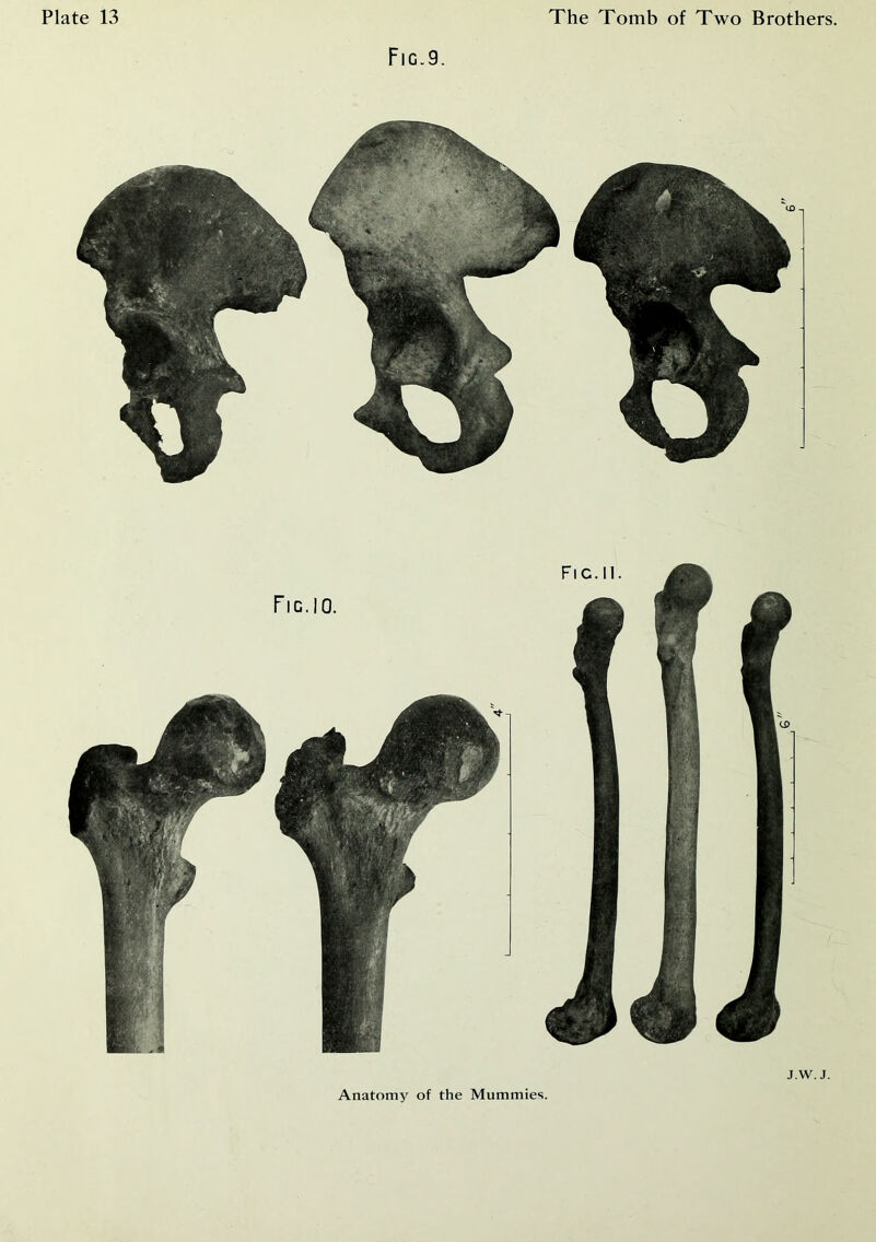 Fig.9.