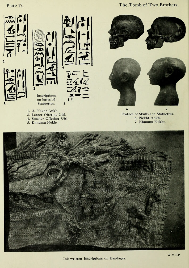 1, 2. Nekht-Ankh. 3. Larger Offering Girl. 4. Smaller Offering Girl. 5. Khnumu-Nekht. 6 7 Profiles of Skulls and Statuettes. 6. Nekht-Ankh. 7. Khnumu-Nekht. Ink-written Inscriptions on Bandages. W.M.F.P.