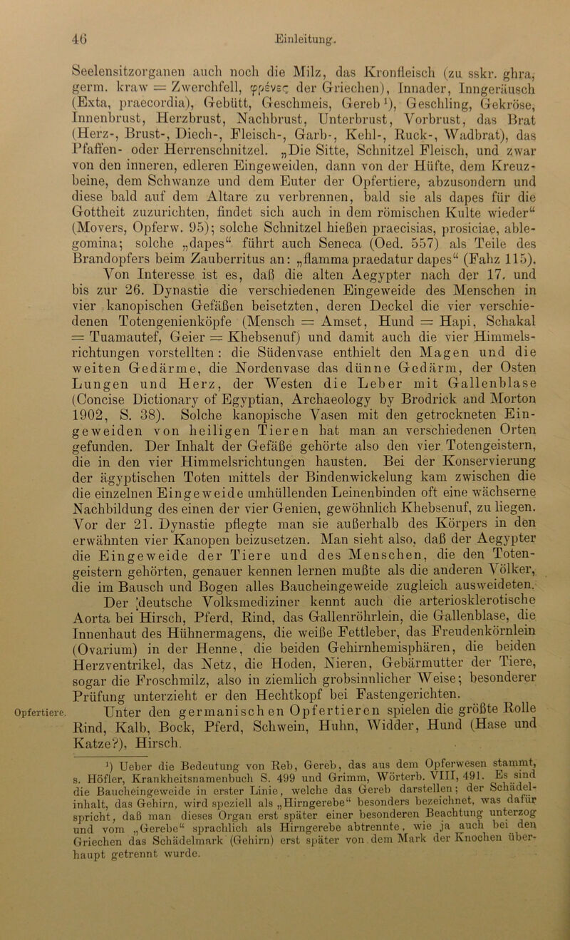 Opfertiere. Seelensitzorganen auch noch die Milz, das Kronfleisch (zu sskr. glira, germ. kraw = Zwerchfell, (pp&vee; der Griechen), Innader, Inngeräusch (Exta, praecordia), (Gebiitt, Geschmeis, Gerebx), Geschling, Gekröse, Innenbrust, Herzbrust, Nachbrust, Unterbrust, Vorbrust, das Brat (Herz-, Brust-, Diech-, Fleisch-, Garb-, Kehl-, Ruck-, Wadbrat), das Pfaffen- oder Herrenschnitzel. „Die Sitte, Schnitzel Fleisch, und zwar von den inneren, edleren Eingeweiden, dann von der Hüfte, dem Kreuz- beine, dem Schwänze und dem Euter der Opfertiere, abzusondern und diese bald auf dem Altäre zu verbrennen, bald sie als dapes für die Gottheit zuzurichten, findet sich auch in dem römischen Kulte wieder“ (Movers, Opferw. 95); solche Schnitzel hießen praecisias, prosiciae, able- gomina; solche „dapes“ führt auch Seneca (Oed. 557) als Teile des Brandopfers beim Zauberritus an: „flammapraedatur dapes“ (Fahz 115). Von Interesse ist es, daß die alten Aegypter nach der 17. und bis zur 26. Dynastie die verschiedenen Eingeweide des Menschen in vier kanopischen Gefäßen beisetzten, deren Deckel die vier verschie- denen Totengenienköpfe (Mensch = Amset, Hund = Hapi, Schakal = Tuamautef, Geier = Khebsenuf) und damit auch die vier Himmels- richtungen vorstellten : die Südenvase enthielt den Magen und die weiten Gedärme, die Nordenvase das dünne Gedärm, der Osten Lungen und Herz, der Westen die Leber mit Gallenblase (Concise Dictionary of Egyptian, Archaeology by Brodrick and Morton 1902, S. 38). Solche kanopische Vasen mit den getrockneten Ein- ge weiden von heiligen Tieren hat man an verschiedenen Orten gefunden. Der Inhalt der Gefäße gehörte also den vier Totengeistern, die in den vier Himmelsrichtungen hausten. Bei der Konservierung der ägyptischen Toten mittels der Binden Wickelung kam zwischen die die einzelnen Eingeweide umhüllenden Leinenbinden oft eine wächserne Nachbildung des einen der vier Genien, gewöhnlich Khebsenuf, zu liegen. Vor der 21. Dynastie pflegte man sie außerhalb des Körpers in den erwähnten vier Kanopen beizusetzen. Man sieht also, daß der Aegypter die Eingeweide der Tiere und des Menschen, die den Toten- geistern gehörten, genauer kennen lernen mußte als die anderen V ölker, die im Bausch und Bogen alles Baucheingeweide zugleich ausweideten. Der [deutsche Volksmediziner kennt auch die arteriosklerotische Aorta bei Hirsch, Pferd, Rind, das Gallenröhrlein, die Gallenblase, die Innenhaut des Hühnermagens, die weiße Fettleber, das Freudenkörnlein (Ovarium) in der Henne, die beiden Gehirnhemisphären, die beiden Herzventrikel, das Netz, die Hoden, Nieren, Gebärmutter der Tiere, sogar die Froschmilz, also in ziemlich grobsinnlicher Weise; besonderer Prüfung unterzieht er den Hechtkopf bei Fastengerichten. Unter den germanischen Opfertieren spielen die größte Rolle Rind, Kalb, Bock, Pferd, Schwein, Huhn, Widder, Hund (Hase und Katze?), Hirsch. 9 Ueber die Bedeutung von Reb, Gereb, das aus dem Opferwesen stammt, s. Höfler, Krankheitsnamenbuch S. 499 und Grimm, Wörterb. VIII, 491. Es sind die Baucheingeweide in erster Linie, welche das Gereb darstellen; der Schädel- inhalt, das Gehirn, wird speziell als „Hirngerebe“ besonders bezeichnet, was daliir spricht, daß man dieses Organ erst später einer besonderen Beachtung unterzog und vom „Gerebe“ sprachlich als Hirngerebe abtrennte, wie ja auch bei den Griechen das Schädelmark (Gehirn) erst später von dem Mark der Knochen über- haupt getrennt wurde.