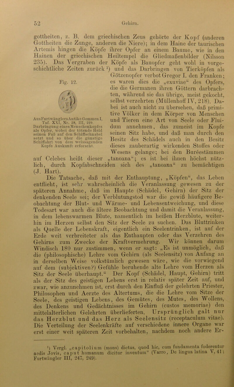 O -j gottheiten, z. B. dem griechischen Zeus gehörte der Kopf (anderen Gottheiten die Zunge, anderen die Niere); in dem Haine der taurischen Artemis hingen die Köpfe ihrer Opfer an einem Baume, wie in den Hainen der griechischen Heiltempel die Gliedmaßenbilder (Nilsson 235). Das Vergraben der Köpfe als Bauopfer geht wohl in vorge- schichtliche Zeiten zurück 2) und das Darbringen von Tierköpfen als Götzenopfer verbot Gregor I. den Franken; es waren dies die „exuviae“ des Opfers, die die Germanen ihren Göttern darbrach- ten, während sie das übrige, meist gekocht, seihst verzehrten (Müllenhoff IV, 218). Da- bei ist auch nicht zu übersehen, daß primi- tive Völker in dem Körper von Menschen und Tieren eine Art von Seele oder Flui- dum annehmen, das zumeist im Kopfe seinen Sitz habe, und daß man durch den Besitz des Schädels auch in den Besitz dieses zauberartig wirkenden Stoffes oder Wesens gelange; bei den Bureestämmen „tanoana“; es ist bei ihnen höchst nütz- lich, durch Kopfabschneiden sich des „tanoana“ zu bemächtigen (J. Hart). Die Tatsache, daß mit der Enthauptung, „Köpfen“, das Leben entflieht, ist sehr wahrscheinlich die Veranlassung gewesen zu der späteren Annahme, daß im Haupte (Schädel, Gehirn) der Sitz der denkenden Seele sei; der Verblutungstod war die gewiß häufigere Be- obachtung der Blut- und Wärme- und Lebensentweichung, und diese Todesart war auch die ältere Beobachtung und damit die Veranlassung, in dem lebenswarmen Blute, namentlich im heißen Herzblute, weiter- bin im Herzen selbst den Sitz der Seele zu suchen. Das Bluttrinken als Quelle der Lebenskraft, eigentlich ein Seelentrinken, ist auf der Erde weit verbreiteter als das Enthaupten oder das Verzehren des Gehirns zum Zwecke der Kraftvermehrung. Wir können darum Windisch 180 nur zustimmen, wenn er sagt: „Es ist unmöglich, daß die (philosophische) Lehre vom Gehirn (als Seelensitz) von Anfang an in derselben Weise volkstümlich gewesen wäre, wie die vorwiegend auf dem (subjektiven?) Gefühle beruhende alte Lehre vom Herzen als Sitz der Seele überhaupt.“ Der Kopf (Schädel, Haupt, Gehirn) tritt als der Sitz des geistigen Lebens erst in relativ später Zeit auf, und zwar, wie anzunehmen ist, erst durch den Einfluß der gelehrten Priester, Philosophen und Aerzte des Altertums, die die Lehre vom Sitze der Seele, des geistigen Lebens, des Gemütes, des Mutes, des Wollens, des Denkens und Gedächtnisses im Gehirn (custos memoriae) den mittelalterlichen Gelehrten überlieferten. Ursprünglich galt nur das Herzblut und das Herz als Seelensitz (receptaculum vitae). Die Verteilung der Seelenkräfte auf verschiedene innere Organe war erst einer weit späteren Zeit Vorbehalten, nachdem noch andere Er- Fig. 12. AusFurtw&nglers Antike Gemmen I, Taf. XKI, Nr. 38, III, 229. Darbringung eines Menschenkopfes als Opfer, wobei der tötende Held seinen Fuß auf den Scliiffschnabel setzt und so über die günstige Schiffahrt von dem weissagenden Kopfe Auskunft erforscht. auf Celebes heißt dieser ') Vergl. „capitolium (mons) dictus, quod hic, cum fundamenta foderentur aedis Jovis, caput humanum dicitur inventum“ (Varro, De lingua latina V, 41; Furtwängler III, 247, 249).