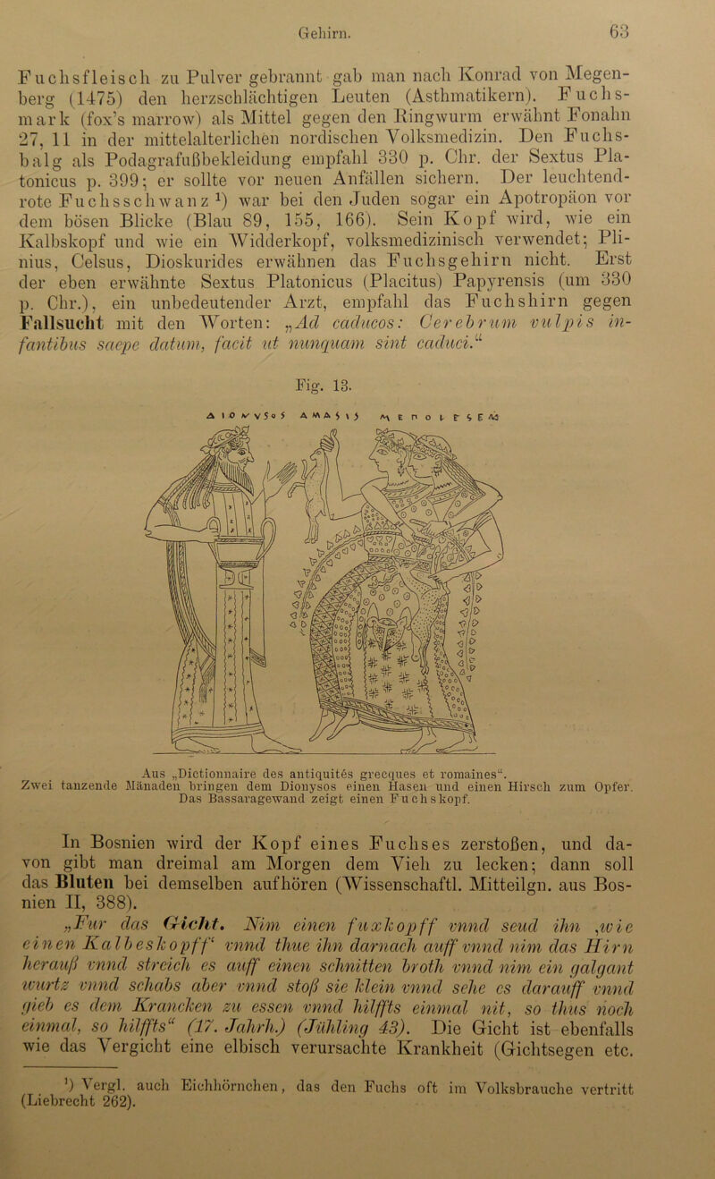 Fuchsfleisch zu Pulver gebrannt gab man nach Konrad von Megen- berg (1475) den herzschlächtigen Leuten (Asthmatikern). Fuchs- mark (fox’s marrow) als Mittel gegen den Kingwurm erwähnt Fonahn 27, 11 in der mittelalterlichen nordischen Volksmedizin. Den Fuchs- balg als Podagrafußbekleidung empfahl 330 p. Ohr. der Sextus Pla- tonicus p. 399; er sollte vor neuen Anfällen sichern. Der leuchtend- rote Fuchsschwanz x) war bei den Juden sogar ein Apotropäon vor dem bösen Blicke (Blau 89, 155, 166). Sein Kopf wird, wie ein Kalbskopf und wie ein Widderkopf, volksmedizinisch verwendet; Pli- nius, Celsus, Dioskurides erwähnen das Fuchsgehirn nicht. Erst der eben erwähnte Sextus Platonicus (Placitus) Papyrensis (um 330 p. Chr.), ein unbedeutender Arzt, empfahl das Fuchshirn gegen Fallsucht mit den Worten: „Ad caäucos: Cer ehr um vulpis in- fantibus saepe datum, facit ut nunquam sint caduciC Fig. 13. A 10 vvSO A WA In Bosnien wird der Kopf eines Fuchses zerstoßen, und da- von gibt man dreimal am Morgen dem Vieh zu lecken; dann soll das Bluten bei demselben auf hören (Wissenschaftl. Mitteilgn. aus Bos- nien II, 388). „Für das Cricht. Nim einen fuxhopff vnnd send ihn pvie einen Kalb es hopf fc vnnd time ihn darnach auff vnnd nim das Hirn herauf vnnd streich es auff einen schnitten broth vnnd nim ein galgcmt ivurtz vnnd schabs aber vnnd stoß sie Hein vnnd sehe cs darauff vnnd gieb es dem Kränchen zu essen vnnd hilffts einmal nit, so thus noch einmal, so hilffts“ (17. Jahrh.) (Jühling 43). Die Gicht ist ebenfalls wie das Vergiclit eine elbisch verursachte Krankheit (Gichtsegen etc. 9 Vergl. auch Eichhörnchen, das den Fuchs oft im Volksbrauche vertritt (Liebrecht 262).