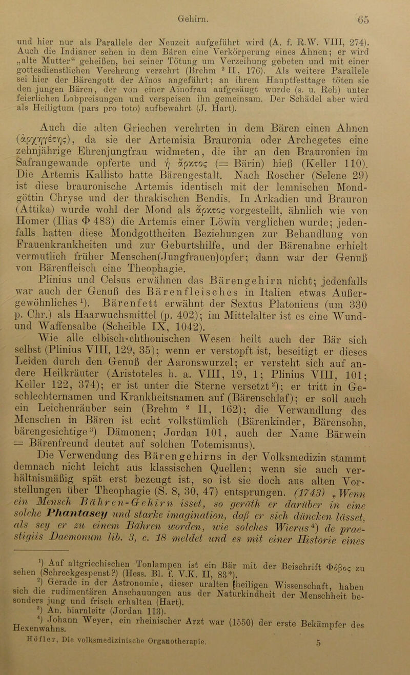 und hier nur als Parallele der Neuzeit aufgeführt wird (A. f. RAV. VIII, 274). Auch die Indianer sehen in dem Baren eine Verkörperung eines Ahnen; er wird „alte Mutter“ geheißen, bei seiner Tötung um Verzeihung gebeten und mit einer gottesdienstlichen Verehrung verzehrt (Brehm 2II, 176). Als weitere Parallele sei hier der Bärengott der Ainos angeführt; an ihrem Hauptfesttage töten sie den jungen Bären, der von einer Ainofrau aufgesäugt wurde (s. u. Reh) unter feierlichen Lobpreisungen und verspeisen ihn gemeinsam. Der Schädel aber wird als Heiligtum (pars pro toto) aufbewahrt (J. Hart). Auch die alten Griechen verehrten in dem Bären einen Ahnen (ap^7]7ST7]c), da sie der ikrtemisia Brauronia oder Archegetes eine zehnjährige Ehrenjungfrau widmeten, die ihr an den Brauronien im Safrangewande opferte und t) apwcos (= Bärin) hieß (Keller 110). Die Artemis Kallisto hatte Bärengestalt. Nach Koscher (Selene 29) ist diese brauronische Artemis identisch mit der lemnischen Mond- göttin Chryse und der thrakischen Bendis. In Arkadien und Brauron (Attika) wurde wohl der Mond als apxtos vorgestellt, ähnlich wie von Homer (Ilias «P 483) die Artemis einer Löwin verglichen wurde; jeden- falls hatten diese Mondgottheiten Beziehungen zur Behandlung von Frauenkrankheiten und zur Geburtshilfe, und der Bärenahne erhielt vermutlich früher Menschen(Jungfrauen)opfer; dann war der Genuß von Bärenfleisch eine Theophagie. Plinius und Celsus erwähnen das Bäreng eh irn nicht; jedenfalls war auch der Genuß des Bärenfleisches in Italien etwas Außer- gewöhnliches1). Bärenfett erwähnt der Sextus Platonicus (um 330 p. Chr.) als Haarwuchsmittel (p. 402); im Mittelalter ist es eine Wund- und Waffensalbe (Scheible IX, 1042). Wie alle elbisch-chthonischen Wesen heilt auch der Bär sich selbst (Plinius VIII, 129, 35); wenn er verstopft ist, beseitigt er dieses Leiden durch den Genuß der Aaronswurzel; er versteht sich auf an- dere Heilkräuter (Aristoteles h. a. VIII, 19, 1; Plinius VIII, 101; Keller 122, 374); er ist unter die Sterne versetzt2); er tritt in Ge- schlechternamen und Krankheitsnamen auf (Bärenschlaf); er soll auch ein Leichenräuber sein (Brehm 2 II, 162); die Verwandlung des Menschen in Bären ist echt volkstümlich (Bärenkinder, Bärensohn, bärengesichtige3) Dämonen; Jordan 101, auch der Name Bärwein — Bärenfreund deutet auf solchen Totemismus). Die Verwendung des Bärengehirns in der Volksmedizin stammt demnach nicht leicht aus klassischen Quellen; wenn sie auch ver- hältnismäßig spät erst bezeugt ist, so ist sie doch aus alten Vor- stellungen über Theophagie (S. 8, 30, 47) entsprungen. (1743) „ Wenn ein Mensch B ähr en-Gehirn isset, so geräth er darüber in eine solche Phantcisey und starke imagination, daß er sich düncken lasset, als sey er zu einem Bühren ivorden, ivie solches Wierus4) cle prae- stigiis Daemonum lib. 3, c. 18 meldet und es mit einer Historie eines . A:uf altgriechischen Tonlampen ist ein Bär mit der Beischrift <I>6ßoc zu sehen (Schreckgespenst?) (Hess. Bl. f. V.K. II, 83*). ' 2) Gerade in der Astronomie, dieser uralten [heiligen Wissenschaft, haben sich die rudimentären Anschauungen aus der Naturkindheit der Menschheit be- sonders jung und frisch erhalten (Hart). 3) An. biarnleitr (Jordan 113). Hexenwah°nsann Weyer’ ein rheinischer Arzt war (1550) der erste Bekämpfen des Höfler, Die volksmedizinische Organotherapie. 5