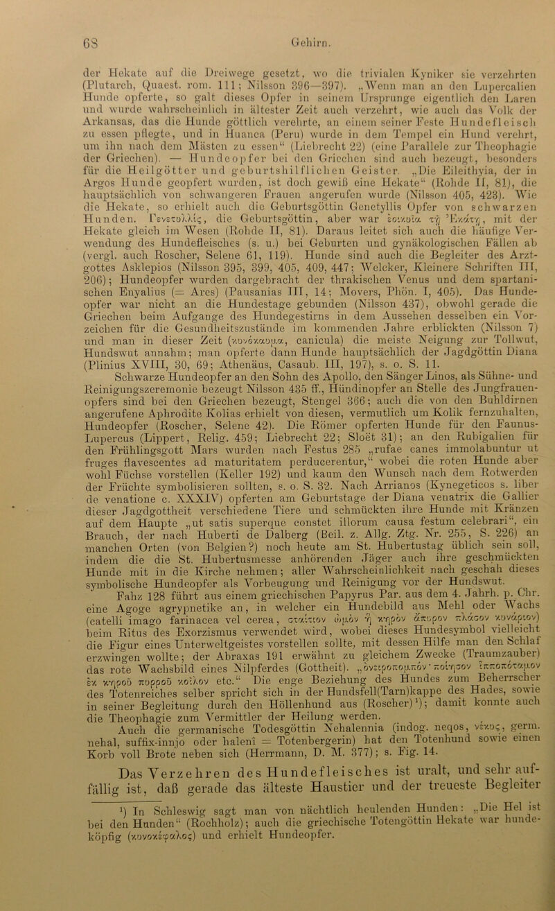 der Hekate auf die Dreiwege gesetzt, wo die trivialen Kyniker sie verzehrten (Plutarch, Quaest. rom. 111; Nilsson 39G—397). „Wenn man an den Luperealien Hunde opferte, so galt dieses Opfer in seinem Ursprünge eigentlich den Laren und wurde wahrscheinlich in ältester Zeit auch verzehrt, wie auch das Volk der Arkansas, das die Hunde göttlich verehrte, an einem seiner Feste Hundefleisch zu essen pflegte, und in Huanca (Peru) wurde in dem Tempel ein Hund verehrt, um ihn nach dem Mästen zu essen“ (Liebrecht 22) (eine Parallele zur Theophagie der Griechen). — Hundeopfer bei den Griechen sind auch bezeugt, besonders für die Heilgötter und geburtshilflichen Geister. „Die Eileithyia, der in Argos Hunde geopfert wurden, ist doch gewiß eine Hekate“ (Rohde If, 81), die hauptsächlich von schwangeren Frauen angerufen wurde (Nilsson 405, 423). Wie die Hekate, so erhielt auch die Geburtsgöttin Genetyllis Opfer von schwarzen Hunden. VbmstoWIc, , die Geburtsgöttin, aber war soiv.tv.a rg’Iv/.ax^, mit der Hekate gleich im Wesen (Rohde II, 81). Daraus leitet sich auch die liäußge Ver- wendung des Hundefleisches (s. u.) bei Geburten und gynäkologischen Fällen ab (vergl. auch Roscher, kSelene 61, 119). Hunde sind auch die Begleiter des Arzt- gottes Asklepios (Nilsson 395, 399, 405, 409,447; Welcker, Kleinere Schriften 111, 206); Hundeopfer wurden dargebracht der thrakischen Venus und dem spartani- schen Enyalius (= Ares) (Pausanias III, 14; Movers, Phon. 1, 405). Das Hunde- opfer war nicht an die Hundestage gebunden (Nilsson 437), obwohl gerade die Griechen beim Aufgange des Hundegestirns in dem Aussehen desselben ein Vor- zeichen für die Gesundheitszustände im kommenden Jahre erblickten (Nilsson 7) und man in dieser Zeit (v.üvov.aopa, canicula) die meiste Neigung zur Tollwut, Hundswut annahm; man opferte dann Hunde hauptsächlich der Jagdgöttin Diana (Plinius XVIII, 30, 69; Athenäus, Casaub. III, 197), s. o. S. 11. Schwarze Hundeopfer an den Sohn des Apollo, den Sänger Linos, als Sühne- und Reinigungszeremonie bezeugt Nilsson 435 ff., Hündinopfer an Stelle des Jungfrauen- opfers sind bei den Griechen bezeugt, Stengel 366; auch die von den Buhldirnen angerufene Aphrodite Kolias erhielt von diesen, vermutlich um Kolik fernzuhalten, Hundeopfer (Roscher, Selene 42). Die Römer opferten Hunde für den Faunus- Lupercus (Lippert, Relig. 459; Liebrecht 22; Sloet 31); an den Rubigalien für den Frühlingsgott Mars wurden nach Festus 285 „rufae canes immolabuntur ut fruges flavescentes ad maturitatem perducerentur,“ wobei die roten Hunde aber wohl Füchse vorstellen (Keller 192) und kaum den Wunsch nach dem Rotwerden der Früchte symbolisieren sollten, s. o. S. 32. Nach Arrianos (Kynegeticos s.^ über de venatione c. XXXIV) opferten am Geburtstage der Diana venatrix die Gallier dieser Jagdgottheit verschiedene Tiere und schmückten ihre Hunde mit Kränzen auf dem Haupte „ut satis superque constet illorum causa festum celebrari“, ein Brauch, der nach Huberti de Dalberg (Beil. z. Allg. Ztg. Nr. 255, S. 226) an manchen Orten (von Belgien?) noch heute am St. Hubertustag üblich sein soll, indem die die St. Hubertusmesse anhörenden Jäger auch ihre geschmückten Hunde mit in die Kirche nehmen; aller Wahrscheinlichkeit nach geschah dieses symbolische Hundeopfer als Vorbeugung und Reinigung vor der Hundswut. Fahz 128 führt aus einem griechischen Papyrus Par. aus dem 4. Jahrh. p. Ohr. eine Agoge agrypnetike an, in welcher ein Hundebild aus Mehl oder Vachs (catelli imago farinacea, vel cerea, axodxiov ojpöv -q v.-qpov aitnpov rchdeov xuväptov) beim Ritus des Exorzismus verwendet wird, wobei dieses Hundesymbol vielleicht die Figur eines Unterweltgeistes vorstellen sollte, mit dessen Hilfe man den Schlaf erzwingen wollte; der Abraxas 191 erwähnt zu gleichem Zwecke (Ti aumzaubei) [Gottheit). „ovötpoäouKoV ^oiTjaov ut7iOä6xcqj.ov das rote Wachsbild eines Nilpferdes (Gottheit). „ sv. y.Tjpoö Ttoppoü y.o'.Xov etc.“ Die enge Beziehung auch 9 des Hundes zum Beherrscher des Totenreiches selber spricht sich in der Bundsfell(Tarn)kappe des Hades, sowie in seiner Begleitung durch den Höllenhund aus (Roscher)1); damit konnte die Theophagie zum Vermittler der Heilung werden. Auch die germanische Todesgöttin Nehalennia (indog. neqos, vsv.oc, germ. nehal, suffix-innjo oder haleni = Totenbergerin) hat den lotenhund sowie einen Korb voll Brote neben sich (Herrmann, D. M. 377); s. Fig. 14. Das Verzehren des Hundefleisches ist uralt, und sehr aul- fallig ist, daß gerade das älteste Haustier und der treueste Begleiter J In Schleswig sagt man von nächtlich heulenden Hunden: „Die Hel ist bei den Hunden“ (Rochholz); auch die griechische Totengöttin Hekate war hunde- köpfig (v.ovoviepakoe) und erhielt Hundeopfer.