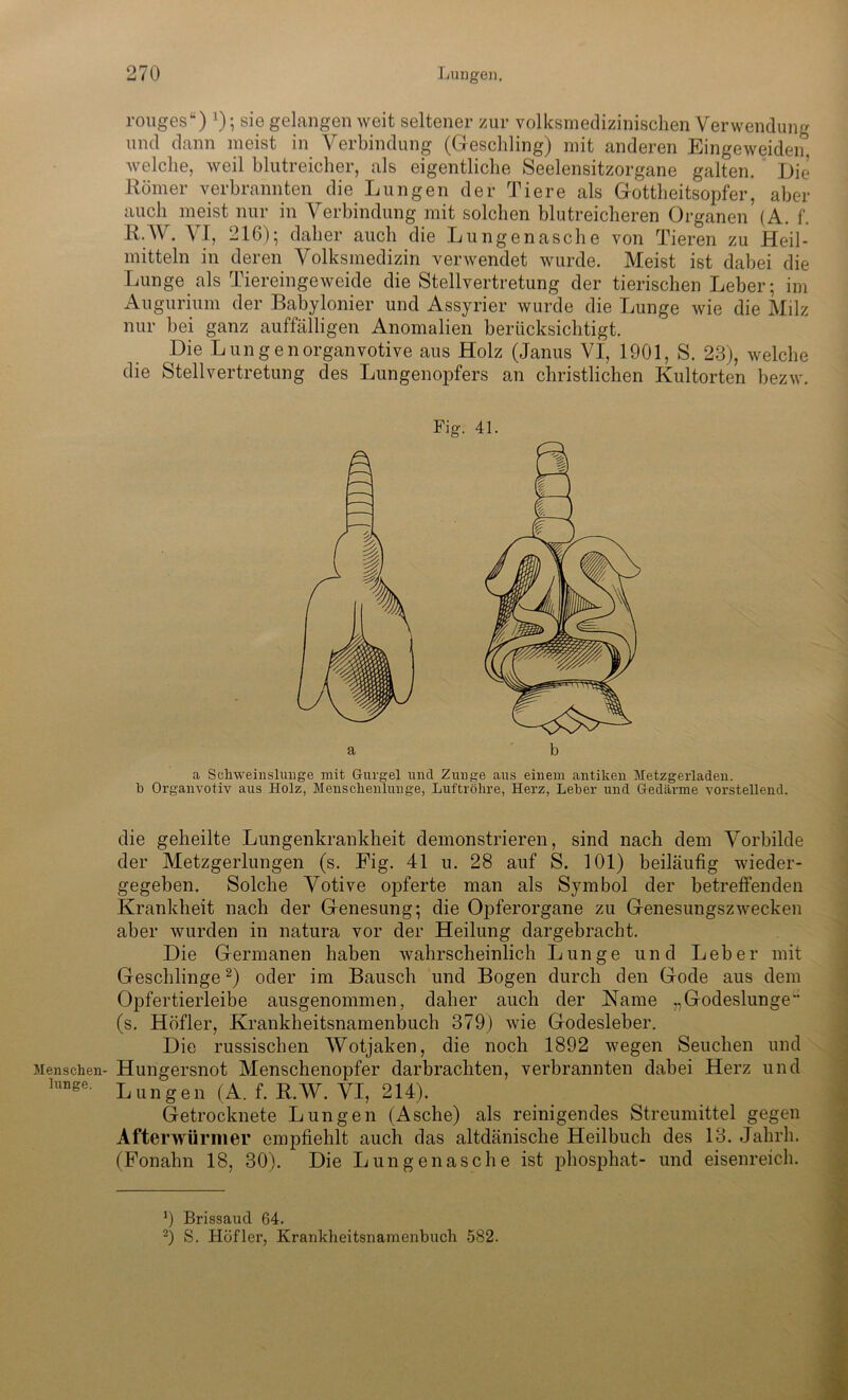 Menschen- lunge. rouges“) *); sie gelangen weit seltener zur volksmedizinischen Verwendung und dann meist in Verbindung (Geschling) mit anderen Eingeweiden welche, weil blutreicher, als eigentliche Seelensitzorgane galten. Die Römer verbrannten die Lungen der Tiere als Gottheitsopfer, aber auch meist nur in Verbindung mit solchen blutreicheren Organen (A. f. RAV. VI, 216); daher auch die Lunge nasche von Tieren zu Heil- mitteln in deren Volksmedizin verwendet wurde. Meist ist dabei die Lunge als Tiereingeweide die Stellvertretung der tierischen Leber; im Augurium der Babylonier und Assyrier wurde die Lunge wie die Milz nur bei ganz auffälligen Anomalien berücksichtigt. Die Lungenorganvotive aus Holz (Janus VI, 1901, S. 23), welche die Stellvertretung des Lungenopfers an christlichen Kultorten bezw. a Schweinslmige mit Gurgel uncl Zunge aus einem antiken Metzgerladen, b Organvotiv aus Holz, Menschenlunge, Luftröhre, Herz, Leber und Gedärme vorstellend. die geheilte Lungenkrankheit demonstrieren, sind nach dem Vorbilde der Metzgerlungen (s. Eig. 41 u. 28 auf S. 101) beiläufig wieder- gegeben. Solche Votive opferte man als Symbol der betreffenden Krankheit nach der Genesung; die Opferorgane zu Genesungszwecken aber wurden in natura vor der Heilung dargebracht. Die Germanen haben wahrscheinlich Lunge und Leber mit Geschlinge* 2) oder im Bausch und Bogen durch den Gode aus dem Opfertierleibe ausgenommen, daher auch der Name „Godeslunge (s. Höfler, Krankheitsnamenbuch 379) wie Godesleber. Die russischen Wotjaken, die noch 1892 wegen Seuchen und Hungersnot Menschenopfer darbrachten, verbrannten dabei Herz und Lungen (A. f. RAV. VI, 214). Getrocknete Lungen (Asche) als reinigendes Streumittel gegen Afterwürmer empfiehlt auch das altdänische Heilbuch des 13. Jahrli. (Fonahn 18, 30). Die Lungenasche ist phosphat- und eisenreich. 9 Brissaud 64. 2) S. Höfler, Krankheitsnamenbuch 582.