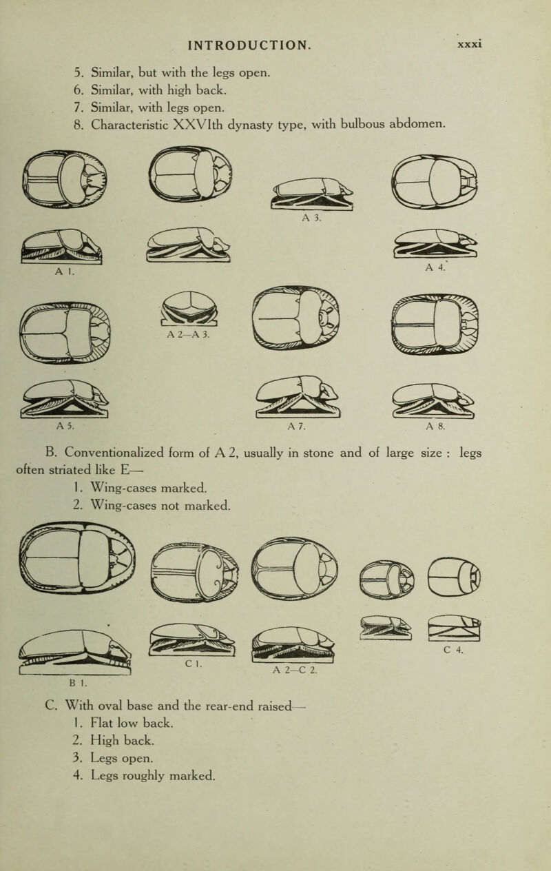 5. Similar, but with the legs open. 6. Similar, with high back. 7. Similar, with legs open. 8. Characteristic XXVIth dynasty type, with bulbous abdomen. A 5. A 7. A 8. B. Conventionalized form of A 2, usually in stone and of large size : legs often striated like E— 1. Wing-cases marked. 2. Wing-cases not marked. C. With oval base and the rear-end raised— 1. Flat low back. 2. High back. 3. Legs open. 4. Legs roughly marked.