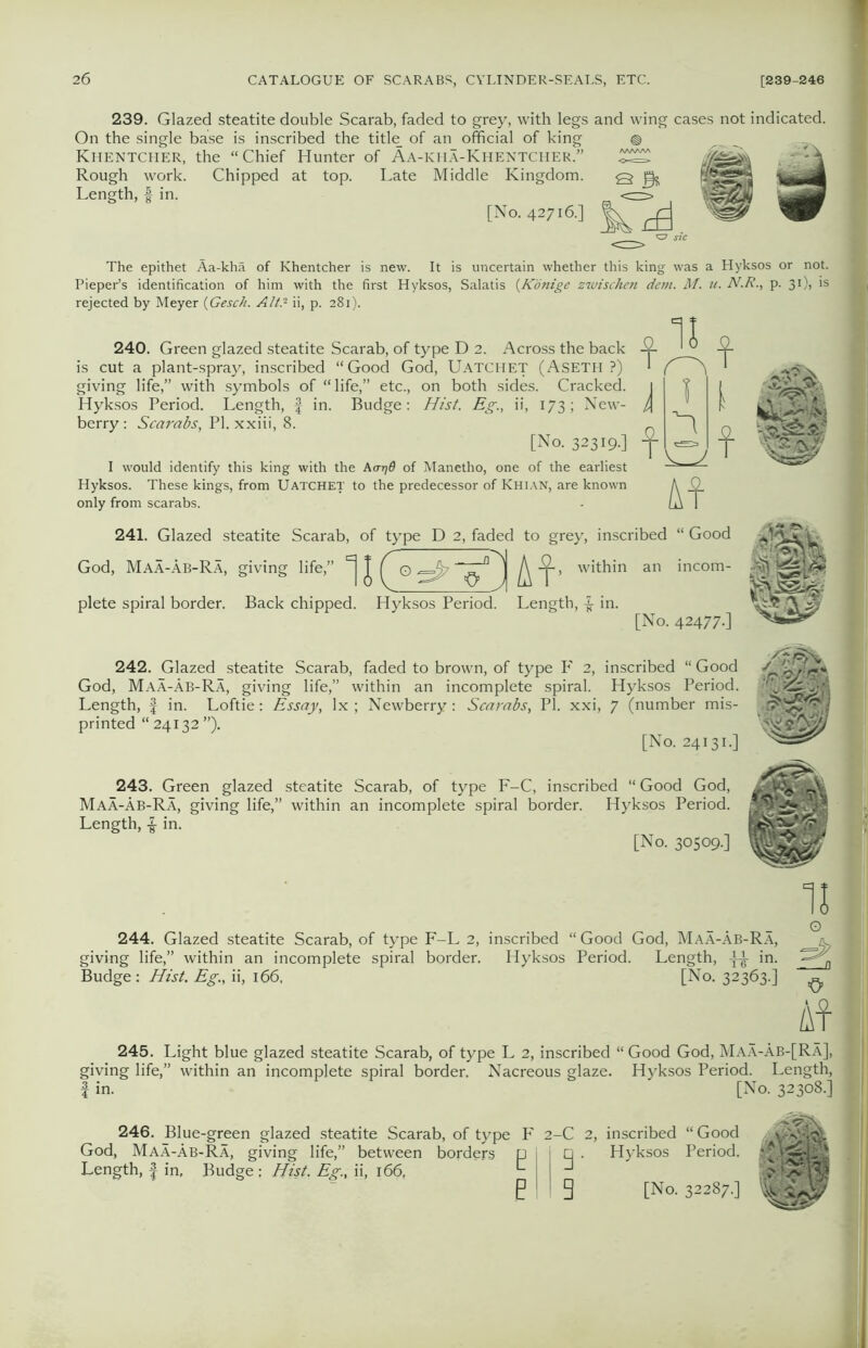 239. Glazed steatite double Scarab, faded to grey, with legs and wing cases not indicated. On the single base is inscribed the title of an official of king Khentcher, the “Chief Hunter of Aa-kiiA-Khentcher.” Rough work. Chipped at top. Late Middle Kingdom. Length, -I in. [No. 42716-] The epithet Aa-kha of Khentcher is new. It is uncertain whether this king was a Hyksos or not. Pieper’s identification of him with the first Hyksos, Salatis (Konige zwischen dem. M. u. N.R., p. 31), is rejected by Meyer (Gesc/i. Alt.- ii, p. 281). 240. Green glazed steatite Scarab, of type D 2. Across the back is cut a plant-spray, inscribed “Good God, Uatchet (Aseth ?) giving life,” with symbols of “life,” etc., on both sides. Cracked. Hyksos Period. Length, f in. Budge: Hist. Eg., ii, 173; New- berry : Scarabs, PI. xxiii, 8. [No. 32319.] I would identify this king with the Ao-rjQ of Manetho, one of the earliest Hyksos. These kings, from Uatchet to the predecessor of Khian, are known only from scarabs. '4£'' 241. Glazed steatite Scarab, of type D 2, faded to grey, inscribed “ Good God, Maa-ab-Ra, giving life,” ^ 0 ^=^7 ^ , within an incom- plete spiral border. Back chipped. Hyksos Period. Length, -£■ in. [No. 42477-] 242. Glazed steatite Scarab, faded to brown, of type P' 2, inscribed “ Good God, Maa-Ab-Ra, giving life,” within an incomplete spiral. Hyksos Period. Length, J in. Loftie: Essay, lx; Newberry: Scarabs, PI. xxi, 7 (number mis- printed “ 24132 ”). [No. 24131-.] cjry, ♦ 243. Green glazed steatite Scarab, of type F-C, inscribed “ Good God, Maa-ab-Ra, giving life,” within an incomplete spiral border. Hyksos Period. Length, % in. [No. 30509.] II O 244. Glazed steatite Scarab, of type F-L 2, inscribed “ Good God, MaA-Ab-Ra, a. giving life,” within an incomplete spiral border. Hyksos Period. Length, in. Budge: Hist. Eg., ii, 166, [No. 32363.] ^ At 245. Light blue glazed steatite Scarab, of type L 2, inscribed “ Good God, MaA-Ab-[RA], giving life,” within an incomplete spiral border. Nacreous glaze. Hyksos Period. Length, I in. [No. 32308.] 246. Blue-green glazed steatite Scarab, of type F 2-C 2, inscribed “ Goc MaA-AR-Fa. crivincr lifp” tipf-wppn hnrrlf»i-c n ll n Hvksos Perio God, Maa-Ab-Ra, giving life, Length, f in. Budge : Hist. Ei between borders ii, 166. 9- 9 Hyksos Perioc [No. 32287