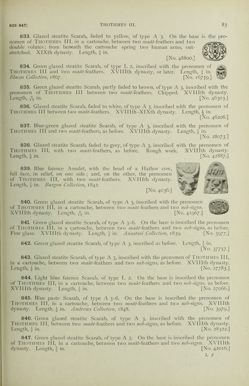 833. Glazed steatite Scarab, faded to yellow, of type A 3. On the base is the pre- nomen of Thotiimes III, in a cartouche, between two ?//rra/-feathers and two double volutes; from beneath the cartouche spring two human arms, out- stretched. XIXth dynasty. Length, § in. [No. 48800.] 834. Green glazed steatite Scarab, of type L 2, inscribed with the prenomen of Tiiotiimes III and two ///^-feathers. XVIIIth dynasty, or later. Length, § in. C2i Blacas Collection, 1867. [No. 16759.] 835. Green glazed steatite Scarab, partly faded to brown, of type A 3, inscribed with the prenomen of THOTHMES III between two inadt-feathers. Chipped. XVIIIth dynasty. Length, ^ in. [No. 46303.] 836. Glazed steatite Scarab, faded to white, of type A 3, inscribed with the prenomen of THOTHMES III between two w^Z-feathers. XVIIIth-XIXth dynasty. Length, \ in. [No. 46206.] 837. Blue-green glazed steatite Scarab, of type A 3, inscribed with the prenomen of THOTHMES III and two wrttf^-feathers, as before. XVIIIth dynasty. Length, \ in. [No. 28073.] 838. Glazed steatite Scarab, faded to grey, of type A 3, inscribed with the prenomen of Tiiotiimes III, with two maat-ie.athers, as before. Rough work. XVIIIth dynasty. Length, f in. [No. 42887.] 839. Blue faience Amulet, with the head of a Hathor cow, full face, in relief, on one side ; and, on the other, the prenomen of THOTHMES III, with two madt-kalhcrs. XVIIIth dynasty. Length, § in. Bnrgon Collection, 1842. [No. 4036.] 840. Green glazed steatite Scarab, of type A 3, inscribed with the prenomen of Tiiotiimes III, in a cartouche, between two madt-feathers and two neb-signs. XVIIIth dynasty. Length, in. [No. 41967.] 841. Green glazed steatite Scarab, of type A 3-6. On the base is inscribed the prenomen of Tiiothmes III, in a cartouche, between two ;«<ra/-feathers and two neb-signs, as before. Fine glaze. XVIIIth dynasty'. Length, § in. Anastasi Collection, 1839. [No. 3977.] 842. Green glazed steatite Scarab, of type A 3, inscribed as before. Length, J in. [No. 37757-] 843. Glazed steatite Scarab, of type A 3, inscribed with the prenomen of THOTHMES III, in a cartouche, between two madt-feathers and two ;/^-signs, as before. XVIIIth dynasty. Length, | in. [No. 27783.] 844. Light blue faience Scarab, of type L 2. On the base is inscribed the prenomen of Tiiotiimes III, in a cartouche, between two maat-feathers and two «^-signs, as before. XVIIIth dynasty. Length, \ in. [No. 27066.] 845. Blue paste Scarab, of type A 3-6. On the base is inscribed the prenomen of THOTHMES III, in a cartouche, between two madt-feathers and two «^-signs. XVIIIth dynasty. Length, \ in. Andrews Collection, 1848. [No. 3979.] 846. Green glazed steatite Scarab, of type A 3, inscribed with the prenomen of 1'HOTHMES III, between two madt-iea.\hers and two neb-signs, as before. XVIIIth dynasty. Length, | in. [No. 28322.] 847. Green glazed steatite Scarab, of tyrpe A 3. On the base is inscribed the prenomen of Tiiotiimes III, in a cartouche, between two maat-feaXhers and two «^-signs. XVIIIth dynast}'. Length, £ in. [No. 42016.] L 2