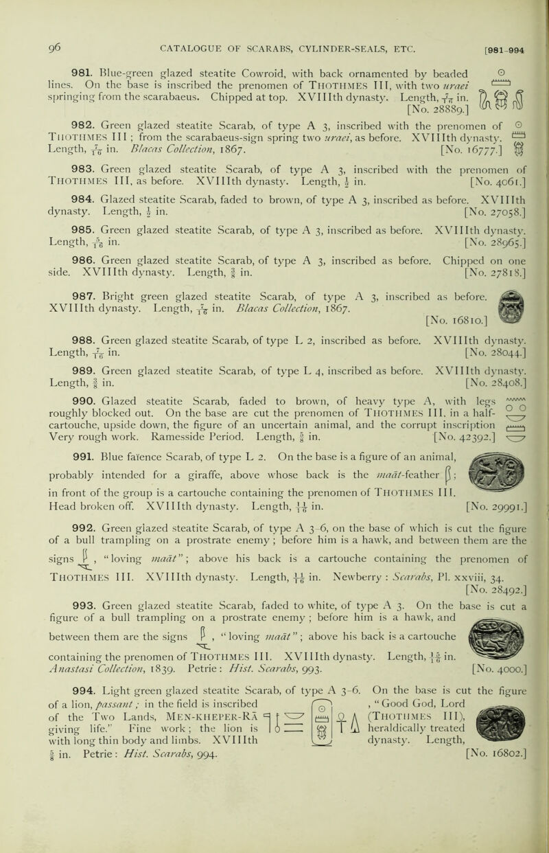 981. Blue-green glazed steatite Cowroid, with back ornamented by beaded lines. On the base is inscribed the prenomen of THOTHMES III, with two uraei springing from the scarabaeus. Chipped at top. XVIIIth dynasty. Length, in. [No. 28889.] 982. Green glazed steatite Scarab, of type A 3, inscribed with the prenomen of © Tiiothmes III ; from the scarabaeus-sign spring two uraei, as before. XVIIIth dynasty. ^ Length, in. Blacas Collection, 1867. [No. 16777.] 983. Green glazed steatite Scarab, of type A 3, inscribed with the prenomen of Thothmes III, as before. XVIIIth dynasty. Length, in. [No. 4061.] 984. Glazed steatite Scarab, faded to brown, of type A 3, inscribed as before. XVIIIth dynasty. Length, \ in. [No. 27058.] 985. Green glazed steatite Scarab, of type A 3, inscribed as before. XVIIIth dynasty. Length, T5B in. [No. 28965.] 986. Green glazed steatite Scarab, of type A 3, inscribed as before. Chipped on one side. XVIIIth dynasty. Length, § in. [No. 27818.] 987. Bright green glazed steatite Scarab, of type A 3, inscribed as before. XVIIIth dynasty. Length, T7^ in. Blacas Collection, 1867. [No. 16810.] 988. Green glazed steatite Scarab, of type L 2, inscribed as before. XVIIIth dynasty. Length, T7g in. [No. 28044.] 989. Green glazed steatite Scarab, of type L 4, inscribed as before. XVIIIth dynasty. Length, § in. [No. 28408.] 990. Glazed steatite Scarab, faded to brown, of heavy type A, with legs roughly blocked out. On the base are cut the prenomen of Thothmes III, in a half- cartouche, upside down, the figure of an uncertain animal, and the corrupt inscription Very rough work. Ramesside Period. Length, § in. [No. 42392.] ^^7 991. Blue faience Scarab, of type L 2. On the base is a figure of an animal, probably intended for a giraffe, above whose back is the maat-ieather ; in front of the group is a cartouche containing the prenomen of Thothmes III. Head broken off. XVIIIth dynasty. Length, -j-Jl in. [No. 29991.] 992. Green glazed steatite Scarab, of type A 3-6, on the base of which is cut the figure of a bull trampling on a prostrate enemy; before him is a hawk, and between them are the signs P , “ loving maat ”; above his back is a cartouche containing the prenomen of Thothmes III. XVIIIth dynasty. Length, ]-§- in. Newberry : Scarabs, PI. xxviii, 34. [No. 28492.] 993. Green glazed steatite Scarab, faded to white, of type A 3. On the base is cut a figure of a bull trampling on a prostrate enemy ; before him is a hawk, and between them are the signs P , “ loving madt ” ; above his back is a cartouche containing the prenomen of Thothmes III. XVIIIth dynasty. Length, if in. Anastasi Collection, 1839. Petrie: Hist. Scarabs, 993. [No. 4000.] 994. Light green glazed steatite Scarab, of type A 3-6. of a lion, passant; in the field is inscribed of the Two Lands, Men-kheper-Ra giving life.” Fine work; the lion is with long thin body and limbs. XVIIIth !J= « On the base is cut the figure , “ Good God, Lord (Thothmes III), heraldically treated dynasty. Length,