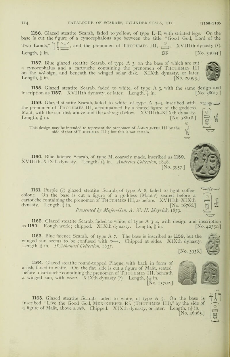 1156. Glazed steatite Scarab, faded to yellow, of type L-E, with striated legs. On the base is cut the figure of a cynocephalous ape between the title “ Good God, Lord of the Two Lands,” T , and the prenomen of Thothmes III, ,..Sn,. XVIIIth dynasty (?). Length, | in. 2© [No. 39094.] 1157. Blue glazed steatite Scarab, of type A 3, on the base of which are cut a cynocephalus and a cartouche containing the prenomen of Thothmes III {kXs on the neb-sign, and beneath the winged solar disk. XIXth dynasty, or later. Length, f in. [No. 29993.] 1158. Glazed steatite Scarab, faded to white, of type A 3, with the same design and inscription as 1157. XVII Ith dynasty, or later. Length, § in. [No. 38617.] 1159. Glazed steatite Scarab, faded to white, of type A 3-4, inscribe the prenomen of Thothmes III, accompanied by a seated figure of the £ Maat, with the sun-disk above and the neb-sign below. XVIIIth-XIXth d Length, f in. [No. This design may be intended to represent the prenomen of Amenhetep III by the side of that of Thothmes III ; but this is not certain. d with oddess ynasty. 38618.] O 1160. Blue faience Scarab, of type M, coarsely made, inscribed as 1159. XVIIIth-XIXth dynasty. Length, 1-^ in. Andrews Collection, 1848. [No. 3957.] 1161. Purple (?) glazed steatite Scarab, of type A 8, faded to light coffee- colour. On the base is cut a figure of a goddess (Maat ?) seated before a cartouche containing the prenomen of Thothmes III, as before. XVIIIth-XIXth dynasty. Length, f in. [No. 16766.] Presented by Major-Gen. A. W. H. Meyrick, 1879. o r^ i 1162. Glazed steatite Scarab, faded to white, of type A. 3-4, with design and inscription as 1159. Rough work; chipped. XIXth dynasty. Length, | in. [No. 42750.] 1163. Blue faience Scarab, of type A 7. The base is inscribed as 1159, but the winged sun seems to be confused with o—h-. Chipped at sides. XIXth dynasty. Length, § in. D'Athanasi Collection, 1837. 9mm [No. 3958.] 1164. Glazed steatite round-topped Plaque, with back in form of a fish, faded to white. On the flat side is cut a figure of Maat, seated before a cartouche containing the prenomen of Thothmes III, beneath a winged sun, with uraei. XIXth dynasty (?). Length, in. [No. 15702.] 1165. Glazed steatite Scarab, faded to white, of type A 5. On the base is inscribed “Live the Good God, Men-KHEPER-Ra (Thothmes III),” by the side of 4 figure of Maat, above a neb. Chipped. XIXth dynasty, or later. Length, 1^ in.