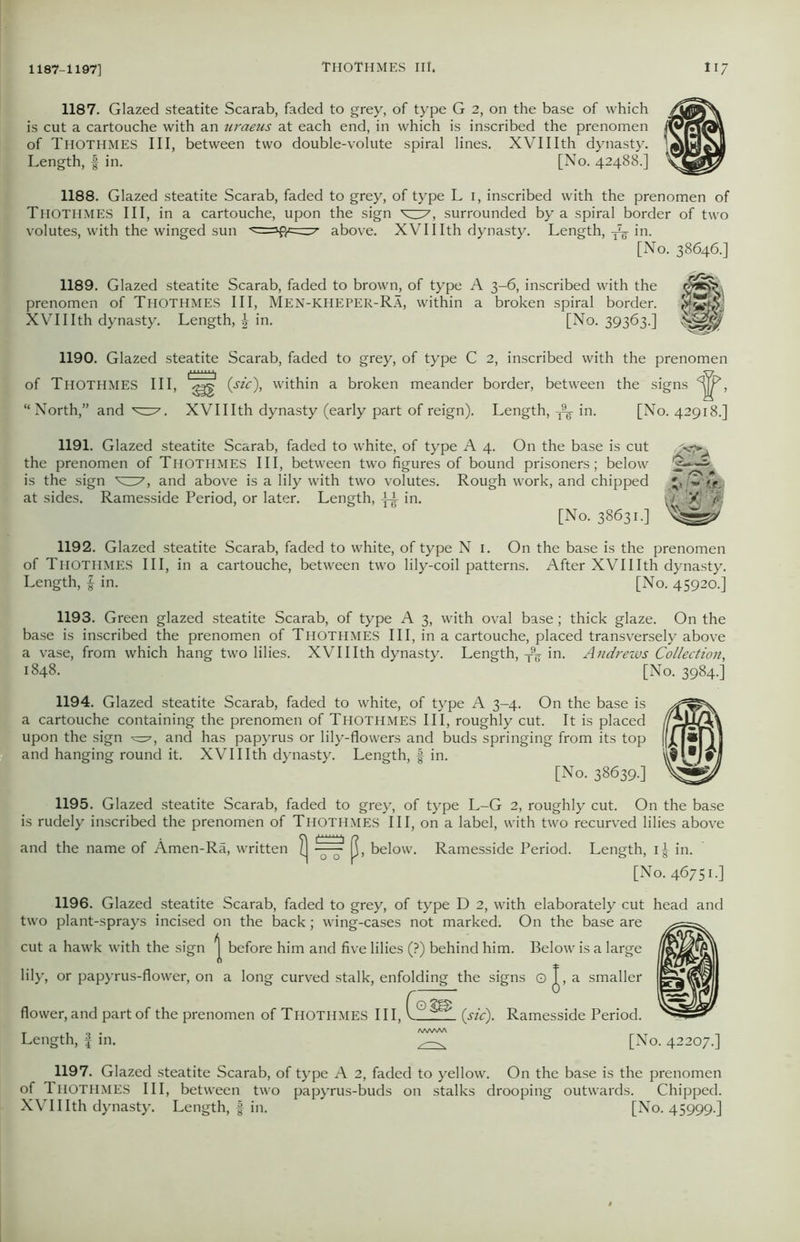 1187. Glazed steatite Scarab, faded to grey, of type G 2, on the base of which is cut a cartouche with an uraeus at each end, in which is inscribed the prenomen iwClran of THOTHMES III, between two double-volute spiral lines. XVIIIth dynasty. |«13X| Length, § in. [No. 42488.] 1188. Glazed steatite Scarab, faded to grey, of type L 1, inscribed with the prenomen of THOTHMES III, in a cartouche, upon the sign ^37, surrounded by a spiral border of two volutes, with the winged sun ' above. XVIIIth dynasty. Length, ^ in. [No. 38646.] 1189. Glazed steatite Scarab, faded to brown, of type A 3-6, inscribed with the prenomen of THOTHMES III, Men-KHEPER-Ra, within a broken spiral border. XVIIIth dynasty. Length, in. [No. 39363.] 1190. Glazed steatite Scarab, faded to grey, of type C 2, inscribed with the prenomen of THOTHMES III, (sic), within a broken meander border, between the signs <^>, “ North,” and '^7. XVIIIth dynasty (early part of reign). Length, in. [No. 42918.] 1191. Glazed steatite Scarab, faded to white, of type A 4. On the base is cut the prenomen of THOTHMES III, between two figures of bound prisoners; below is the sign ^3% and above is a lily with two volutes. Rough work, and chipped at sides. Ramesside Period, or later. Length, -t-i in. [No. 38631.] 1192. Glazed steatite Scarab, faded to white, of type N 1. On the base is the prenomen of THOTHMES III, in a cartouche, between two lily-coil patterns. After XVIIIth dynasty. Length, f in. [No. 45920.] 1193. Green glazed steatite Scarab, of type A 3, with oval base; thick glaze. On the base is inscribed the prenomen of Thothmes III, in a cartouche, placed transversely above a vase, from which hang two lilies. XVIIIth dynasty. Length, T9^ in. Andrews Collection, 1848. [No. 3984.] 1194. Glazed steatite Scarab, faded to white, of type A 3-4. On the base is a cartouche containing the prenomen of THOTHMES III, roughly cut. It is placed upon the sign ^=7, and has papyrus or lily-flowers and buds springing from its top and hanging round it. XVIIIth dynasty. Length, f in. [No. 38639.] _ 1195. Glazed steatite Scarab, faded to grey, of type L-G 2, roughly cut. On the base is rudely inscribed the prenomen of Thothmes III, on a label, with two recurved lilies above and the name of Amen-Ra, written jj, below. Ramesside Period. Length, i| in. [No. 46751-] 1196. Glazed steatite Scarab, faded to grey, of type D 2, with elaborately cut head and two plant-sprays incised on the back; wing-cases not marked. On the base are cut a hawk with the sign | before him and five lilies (?) behind him. Below is a large lily, or papyrus-flower, on a long curved stalk, enfolding the signs o J, a smaller flower, and part of the prenomen of Thothmes III, Length, f in. (sic). Ramesside Period. [No. 42207.] 1197. Glazed steatite Scarab, of type A 2, faded to yellow. On the base is the prenomen of Thothmes III, between two papyrus-buds on stalks drooping outwards. Chipped. XVIIIth dynasty. Length, f in. [No. 45999.]