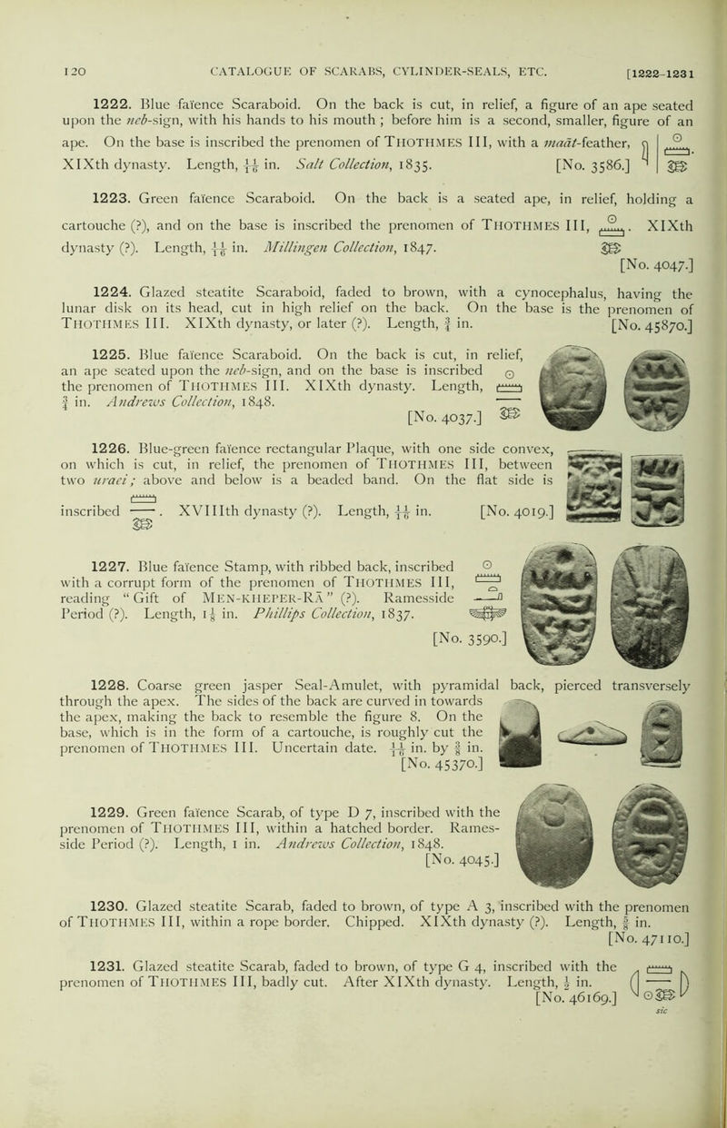 1222. Blue faience Scaraboid. On the back is cut, in relief, a figure of an ape seated upon the neb-sign, with his hands to his mouth ; before him is a second, smaller, figure of an ape. On the base is inscribed the prenomen of Thothmes III, with a tnadt-feather, XIXth dynasty. Length, -fjt in. Salt Collection, 1835. [No. 3586.] 1223. Green faience Scaraboid. On the back is a seated ape, in relief, holding a cartouche (?), and on the base is inscribed the prenomen of Thothmes III, . XIXth dynasty (?). Length, in. Millingen Collection, 1847. [No. 4047.] 1224. Glazed steatite Scaraboid, faded to brown, with a cynocephalus, having the lunar disk on its head, cut in high relief on the back. On the base is the prenomen of Thothmes III. XIXth dynasty, or later (?). Length, f in. [No. 45870.] 1225. Blue faience Scaraboid. On the back is cut, in relief, an ape seated upon the neb-sign, and on the base is inscribed © the prenomen of Thothmes III. XIXth dynasty. Length, f in. Andrews Collection, 1848. ~~ [No. 4037.] 2© 1226. Blue-green faience rectangular Plaque, with one side convex, on which is cut, in relief, the prenomen of Thothmes III, between two uraei; above and below is a beaded band. On the flat side is inscribed . XVIIIth dynasty (?). Length, in. [No. 4019.] 1227. Blue faience Stamp, with ribbed back, inscribed with a corrupt form of the prenomen of Thothmes III, reading “Gift of Men-KHEPER-Ra” (?). Ramesside Period (?). Length, i|- in. Phillips Collection, 1837. O [No. 3590.] 1228. Coarse green jasper Seal-Amulet, with pyramidal back, pierced transversely through the apex. The sides of the back are curved in towards the apex, making the back to resemble the figure 8. On the ” base, which is in the form of a cartouche, is roughly cut the prenomen of Thothmes III. Uncertain date. in. by § in. [No. 45370.] 1229. Green faience Scarab, of type D 7, inscribed with the prenomen of Thothmes III, within a hatched border. Rames- side Period (?). Length, 1 in. A ndrezvs Collection, 1848. [No. 4045.] 1230. Glazed steatite Scarab, faded to brown, of type A 3, 'inscribed with the prenomen of Thothmes III, within a rope border. Chipped. XIXth dynasty (?). Length, f in. [No. 47110.] 1231. Glazed steatite Scarab, faded to brown, of type G 4, inscribed with the prenomen of Thothmes III, badly cut. After XIXth dynasty. Length, in. [No. 46169.] 0 D