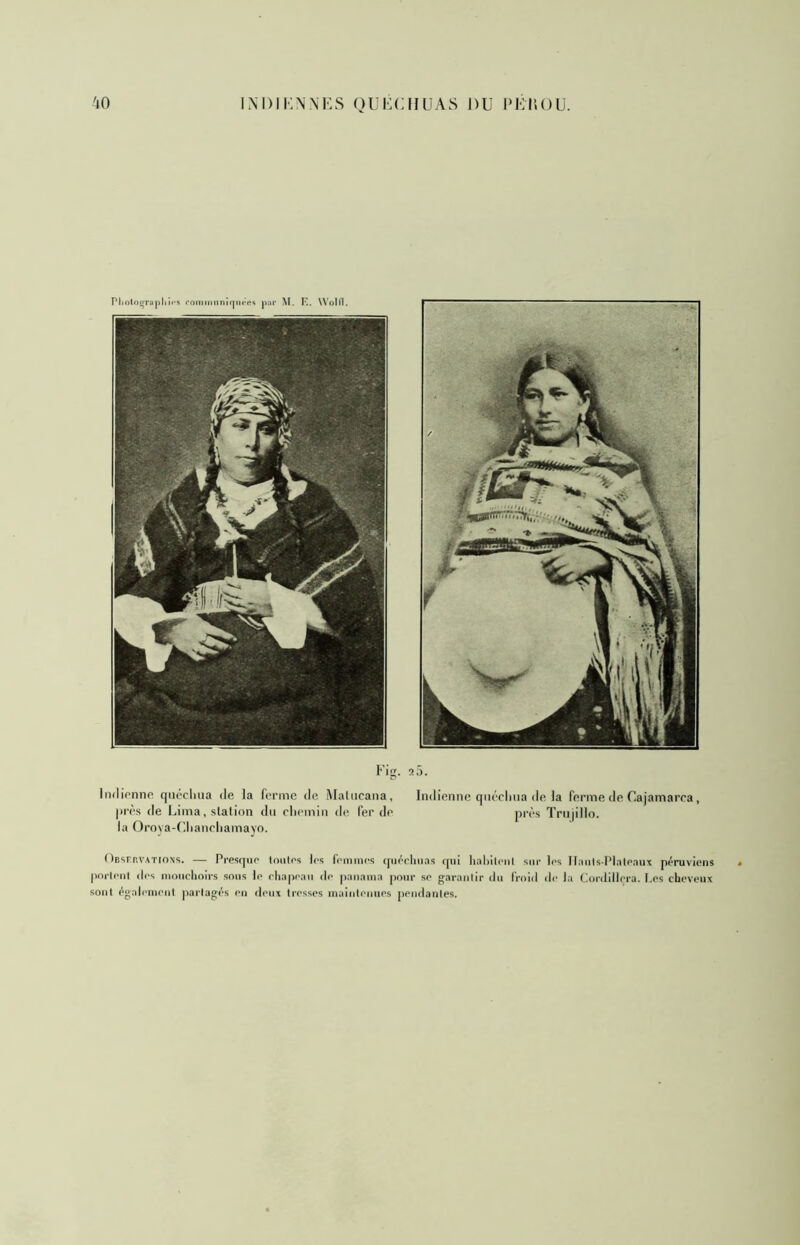 PliolO£jraj)lii«*s commiiniqueRS par M. K. Wolll. Fig. a5. Indirnnfî qnccliua de la forme de Maliicana, Indienne qiiocliiia de la ferme de Cajamaroa, |H'ès de Lima, station du cliomin de fer do prôs Triijillo. la Oroya-Clianoliamayo. OEsrr.VATtONs. — Presque loiiles les femmes (|iiéeluias qui liafileiil sur les Ilanis-Plateaux péruviens porleni des mouchoirs sous le chapeau de panama pour se garaiilir du froid île la Cordillera. Les cheveux sont également partagés en deux tresses maintenues pendantes.