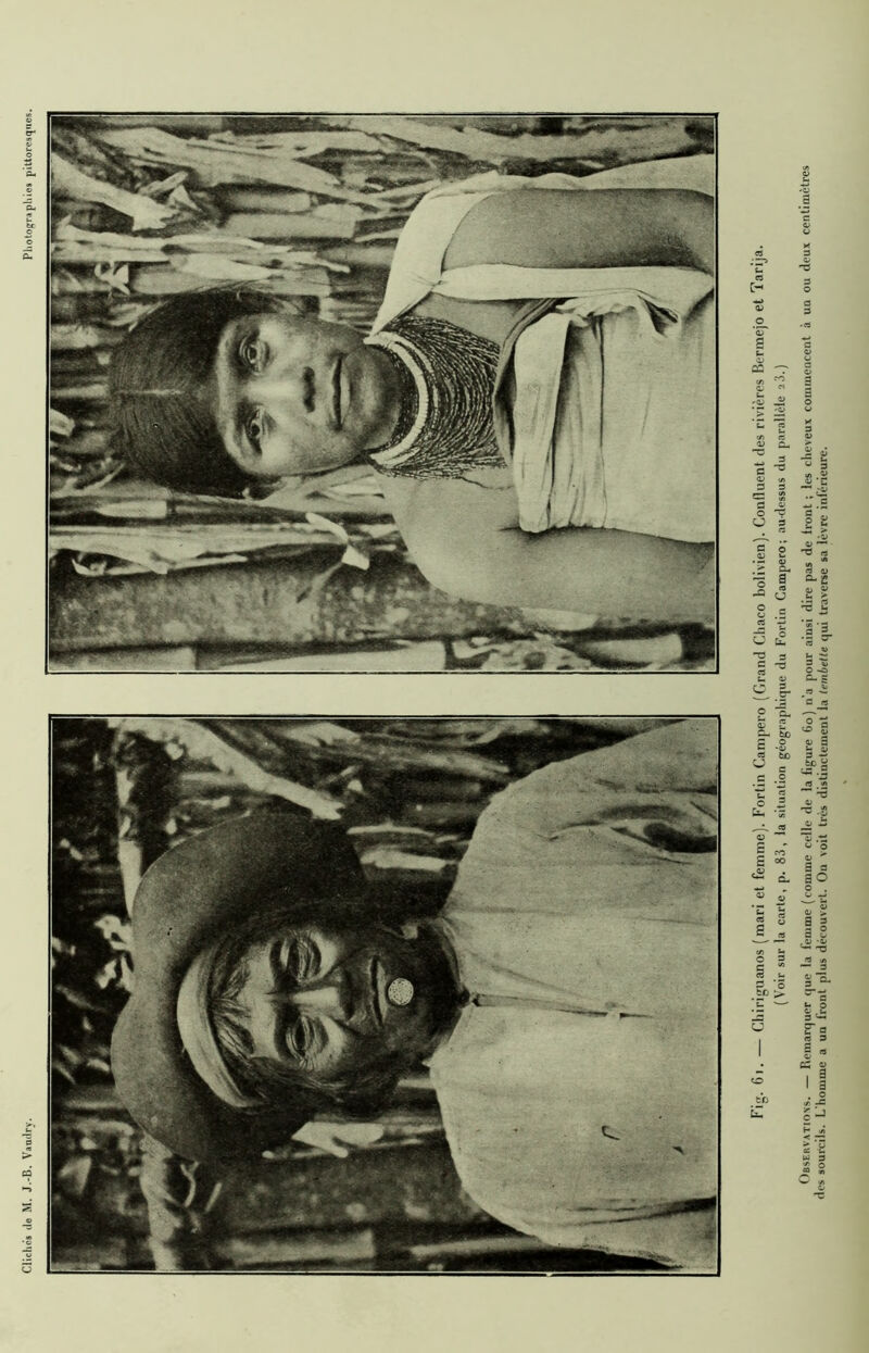 Cllclics lie M. J.-B. Vaatlrv. Photographie» pittoresques. Fig. 6i. — Clurignanos (mari et femme). Fortin Campero (Grand Cliaco bolivien). Confluent des rivières Berraejo et Tarija. (Voir sur la carte, p. 83, la situation géographique du Fortin Campero; au-dessus du parallèle 23.) Observations. — Remarquer que la femme (comme celle de la figure 6o) n’a pour ainsi dire pas de Iront ; les cheveu\ commeucent à un ou deux centimètres des sourcils. L homme a un Iront plus découvert. Ou voit très distinctement la tembelte qui traverse sa lèvre inlérieure.