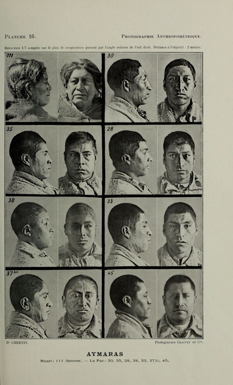 l’hotogravLire Chauvet et C' l)'- ClIEliVIX Planche 16. Photographie Anthropométrique. AYMARAS Huari: I I I (femme). — La Paz; 30, 35, 28, 38, 33, 37 bis, 45.