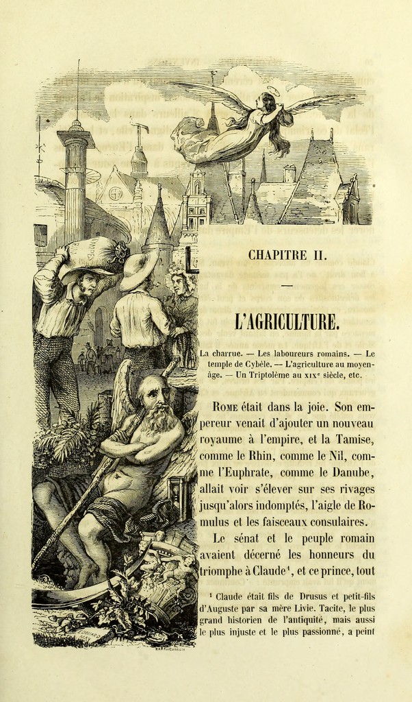 link to previous page