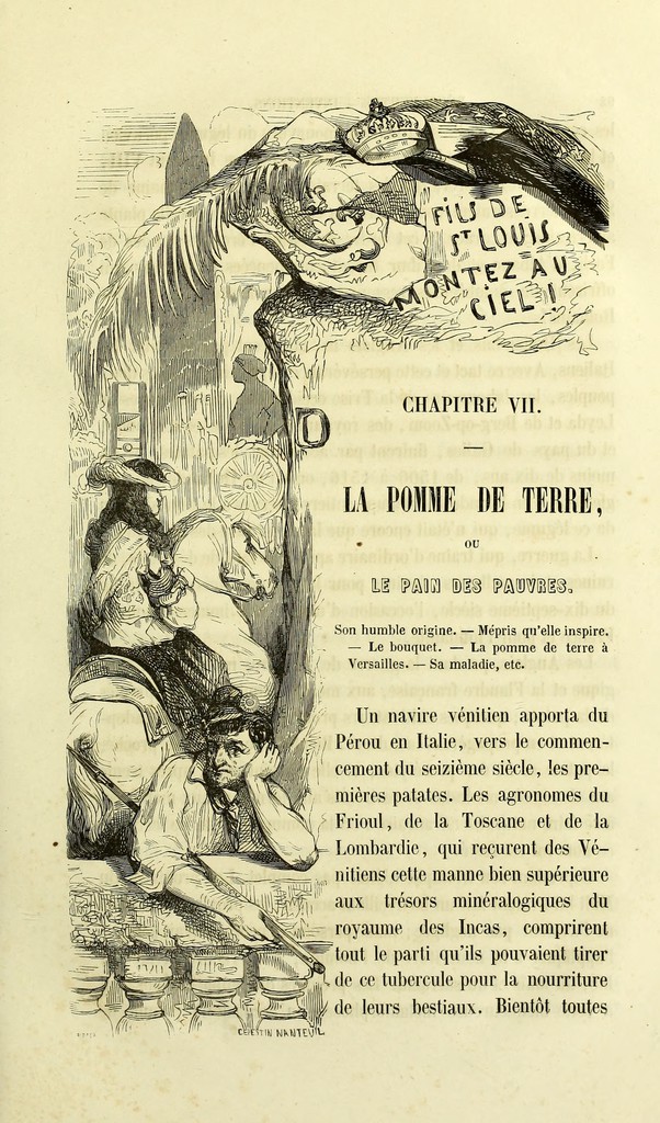 link to next page