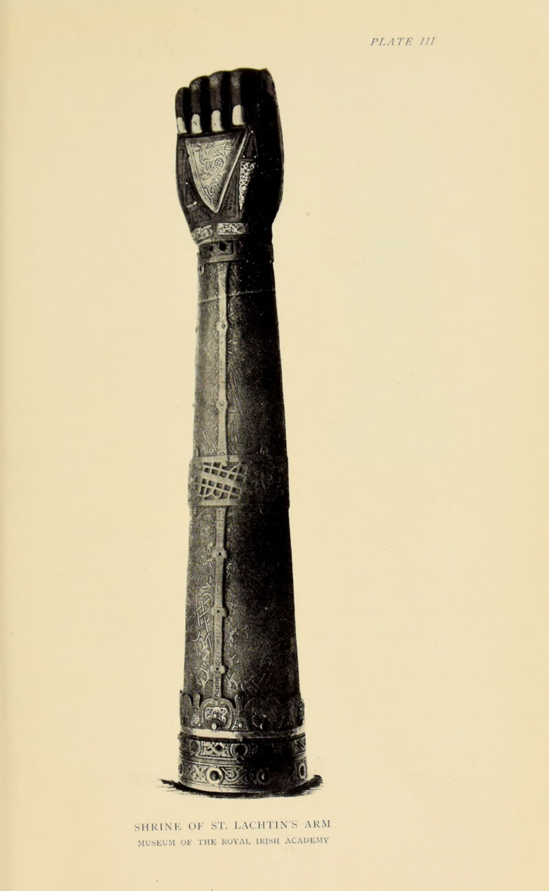SHRINK OF ST. I.ACHTIN'S ARM MU-SKUM (jf THE KUYAI. IKIMl ACADEMY