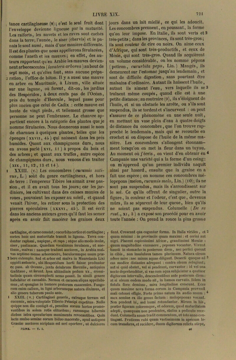 , tance cartilagineuse (8) ; c’est le seul fruit dont l’enveloppe devienne ligneuse par la maturité. Les raiforts, les navets et les raves sont cachés dans la terre; l’aunée, le siser (chervis) et le pa- nais le sont aussi, mais d’une manière différente. Il est des plantes que nous appellerons férulacées, comme l’aneth et les mauves; en effet, des au- teurs rapportent qu’en Arabie les mauves devien- nent arborescentes ( lavalera arborea ) au bout de sept mois, et qu’elles font, sans aucune prépa- 2 ration, l’office de béton. Il y a aussi une mauve en arbre en Mauritanie, à Lixum, ville située sur une lagune, où furent, dit-on, les jardins des Hespérides, à deux cents pas de l’Océan, près du temple d’Hercule, lequel passe pour plus ancien que celui de Cadix : cette mauve est haute de vingt pieds, et tellement grosse que personne ne peut l’embrasser. Le chanvre ap- partient encore à la catégorie des plantes que je nomme férulacées. Nous donnerons aussi le nom de charnues à quelques plantes, telles que les éponges (xxvii, 45 ) qui naissent dans les prés humides. Quant aux champignons durs, nous en avons parlé (xvi, Il ) à propos du bois et des arbres ; et quant aux truffes, autre espèce de champignons durs, nous venons d’en traiter ( xix , 11, 12 , 13 et 14). l XXIII. (v.) Les concombres (cucutnis sati- vuSyL.) sont du genre cartilagineux, et hors de terre : l’empereur Tibère les aimait avec pas- sion , et il en avait tous les jours ; car les jar- diniers, les cultivant dans des caisses munies de roues, pouvaient les exposer au soleil, et quand venait l’hiver, les retirer sous la protection des pierres spéculaires (xxxvi, 45). Il est écrit dans les anciens auteurs grecs qu’il faut les semer après en avoir fait macérer les graines deux jours dans un lait miellé, ce qui les adoucit. Les concombres prennent, en poussant, la forme qu’on leur impose. En Italie, ils sont verts et 2 très-petits; dans les provinces, ils sont très-gros; ils sont couleur de cire ou noirs. On aime ceux d’Afrique, qui sont très-productifs, et ceux de Mésie, qui sont très-gros. Quand ils acquièrent un volume considérable, on les nomme pépons (potiron, cucurbita pepo, Lin.) Mangés, ils demeurent sur l’estomac jusqu’au lendemain, et sont de difficile digestion, sans pourtant être malsains d’ordinaire. Autant ils haïssent l’huile, autant ils aiment l’eau, vers laquelle ils se 3 traînent même coupés, quand elle est à une petite distance; au contraire (9), ils s’éloignent de l’huile, et si un obstacle les arrête, ou s’ils sont suspendus, ils se tordent et s’incurvent : on peut s’assurer de ce phénomène en une seule nuit, en mettant un vase plein d’eau à quatre doigts de distance du concombre, que l’on trouve rap- proché le lendemain, mais qui se recourbe en crochet si on dispose de l’huile de la même ma- nière. Les concombres s’allongent étonnam- ment lorsqu’on en met la fleur dans un tuyau. Au moment où j’écris, on vient d’en obtenir eu 4 Campanie une variété qui a la forme d’un coing: on m’apprend qu’un premier individu naquit ainsi par hasard, ensuite que la .graine en a fait une espèce ; on nomme ces concombres mé- lopepons (melon, cucutnis melo, Lin.) (10); ils ne sont pas suspendus, mais ils s’arrondissent sur le sol. Ce qu’ils offrent de singulier, outre la figure, la couleur et l’odeur, c’est que, devenus mûrs, ils se séparent de leur queue, bien qu’ils ne soient pas suspendus. Columelle (De re rust., xi, 3 ) a exposé son procédé pour en avoir toute l’année : On prend la ronce la plus grosse cartilagine, et came constat ; cucurbitacorticeet cartilagine ; cortex huic uni maturitate transit in lignuiu. Terra con- duntur raphani, napique, et rapa ; atque alio modo inulæ, siser, pastinacæ. Quædam vocabimus ferulacea, ut ane- thum, malvas : namque tradunt auclores, in Arabia mal- vas septimo mense arborescere, baculorumque usum præ- 2 bere extemplo. Sed et arhor est malva in Mauretania Lixi oppidiæstuario, ubi Hesperidum horti fuisse produntur ec pass. ab Oceano, juxta delubrum Herculis, aotiquius Gaditano, ut ferunt. Ipsa altitudinis pedum xx, crassi- tudinis quam circumplecti nemo possit. In simili genere habebitur et cannabis. Necnon et carnosa aliqua appellabi- inus, ut spongias iu humore pratorum enascentes. Fungo- rum enim callum, in ligni arborumque natura diximus, et alio genere tuberum paulo ante. 1 XXIII. (v.) Cartilaginei generis, extraque terrain est cucumis, miravoluptate Tiberio Principi expetitus. Nullo quippe non die contigit ei, pensiles eorum hortos promo- ventibus in solem rôtis olitoribus; rursusque hibernis diebus intra specularium munimenta revocantibus. Quin lacté mulso semine eorum biduo macerato, apud antiquos Græciæ auctores scriplum est seri oportere, ut dulciores PLINE. — T. i. fiant. Crescunt qüa eoguntur forma. In Italia virides , et 2 quam minimi : in provinciis quam maximi : et cerini aut nigri. Placent copiosissimi Africa;, grandissimi Mœ.siæ : quum magnitudine excessere , pepones vocantur. Vivunt hausti in stomaclio in posterum diem, nec perfici queunt in cibis , non insalubres tamen plurimum. Natura oleum odere mire :nec minus aquas diligunt. Desecti quoque ad 3 eas modice distantes adrepunt : contra oleum refugiunt; aut si quid obstet, vel si pendeant, curvantur : id vel una noctedepreheudilur, si vascum aquasubjiciatura quatuor digitorum intervallo, descendentibus ante posterum diem: at si oleum eodem modo sit, in hamos curvalis. lidem in fistula flore demisso, mira longitudine crescunt. Ecce quum maxime nova forma eorum in Campania provenit mali cotonei effigie. Forte primo ualum ita audio unum : 4 mox semine ex illo genus factum : melopeponas vocant. Non pendent bi, sed luirai rotundantur. Mirum in bis, præter figuram coloremque, et odorem, quod maturitatem adepti, quanquam non pendentes, statiin a pediculo rece- dunt. Columella suum tradit commenlum, ut loto anno c.on- tingant. Fruticem rubi quam vastissimum in appicum lo- cum transferre,et recidere, duum digitorum rclicta slirpe, 40 V