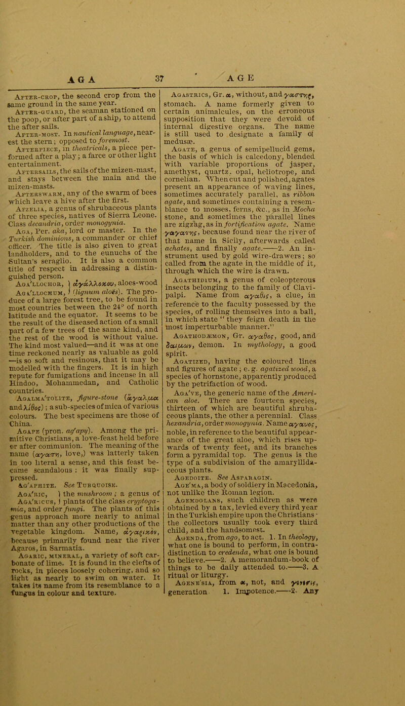 After-crop, the second crop from the same ground in the same year. After-guard, the seaman stationed on the poop, or after part of a ship, to attend the after sails. After-most. In nautical language, near- est the stem; opposed to foremost. Afterpiece, in theatricals, a piece per- formed after a play; a farce or other light entertainment. Aftersails, the sails of the mizen-mast, and stays between the main and the mizen-masts. Afterswarm, any of the swarm of bees which leave a hive after the first. Afzelia, a genus of shrubaceous plants of three species, natives of Sierra Leone. Class decandria, order monogynia. Aga, Per. aka, lord or master. In the Turkish dominions, a commander or chief officer. The title is also given to great landholders, and to the eunuchs of the Sultan’s seraglio. It is also a common title of respect in addressing a distin- guished person. Aga'llochor, 1 olyxWoxov, aloes-wood Ag a'llochum, I (lignum aloes). The pro- duce of a large forest tree, to he found in most countries between the 24* of north latitude and the equator. It seems to he the result of the diseased action of a small part of a few trees of the same kind, and the rest of the wood is without value. The kind most valued—and it was at one time reckoned nearly as valuable as gold —is so soft and resinous, that it may he modelled with the fingers. It is in high repute for fumigations and incense in all Hindoo, Mohammedan, and Catholic countries. Aoalma'tolite, figure-stone {a.yct>.pta andk/flof); a sub-species of mica of various colours. The best specimens are those of China. Agape (pron. ag’apy). Among the pri- mitive Christians, a love-feast held before or after communion. The meaning of the name [ayao’y., love,) was latterly taken in too literal a sense, and this feast be- came scandalous: it was finally sup- pressed. Ag'aphite. See Turquoise. Aga'ric, 1 the mushroom ; a genus of Aga'ricus, ) plants of the class cryptoga- mia, and order fungi. The plants of this genus approach more nearly to animal matter than any other productions of the vegetable kingdom. Name, dyaqixov, because primarily found near the river Agaros, in Sarmatia. Agaric, mineral, a variety of soft car- bonate of lime. It is found in the clefts of rocks, in pieces loosely cohering, and so light as nearly to swim on water. It takes its name from its resemblance to a fungus in colour and texture. Ag astrics, Gr. et, without, and yottrrrif, stomach. A name formerly given to certain animalcules, on the erroneous supposition that they were devoid of internal digestive organs. The name is still used to designate a family oi medusae. Agate, a genus of semipellucid gems, the basis of which is calcedony, blended with variable proportions of jasper, amethyst, quartz, opal, heliotrope, and cornelian. 'Whencut and polished, agates present an appearance of waving lines, sometimes accurately parallel, as ribbon agate, and sometimes containing a resem- blance to mosses, ferns, &c., as in Mocha stone, and sometimes the parallel lines are zigzag, as in fortification agate. Name yayarris, because found near the river of that name in Sicily, afterwards called achates, and finally agate. 2. An in- strument used by gold wire-drawers; so called from the agate in the middle of it, through which the wire is drawn. Agathidium, a genus of coleopterous insects belonging to the family of Clavi- palpi. Name from ctyadia clue, in reference to the faculty possessed by the species, of rolling themselves into a ball, in which state “ they feign death in the most imperturbable manner.” Agathodssmon, Gr. ayaOo;, good, and da.ipconi, demon. In mythology, a good spirit. Agatized, having the coloured lines and figures of agate ; e. g. agatized wood, a species of liornstone, apparently produced by the petrifaction of wood. Aga've, the generic name of the Ameri- can aloe. There are fourteen species, thirteen of which are beautiful shruba- ceous plants, the other a perennial. Class hexandria, order monogynia. Name uystjo;, noble, in reference to the beautiful appear- ance of the great aloe, which rises up- wards of twenty feet, and its branches form a pyramidal top. The genus is the type of a subdivision of the amaryllida- ceous plants. Agedoite. See Asparagin. Age'ma, a body of soldiery in Macedonia, not unlike the Roman legion. Agekoglans, such children as were obtained by a tax, levied every third year in the Turkish empire upon the Christians • the collectors usually took every third Child, and the handsomest. Agenda,from ago, to act. 1. In theology, what one is bound to perform, in contra- distinction to credenda, what one is bound to believe. 2. A memorandum-book of things to be daily attended to. 3. A ritual or liturgy. Agene'sia, from at, not, and yiitftf, generation 1. Impotence. 2- Any