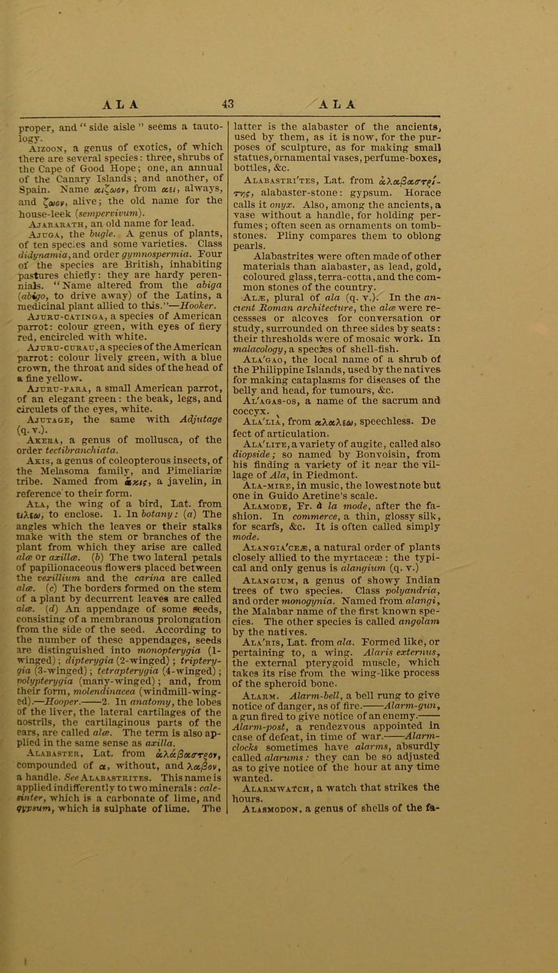 proper, and “ side aisle ” seems a tauto- logy- aizoon, a genus of exotics, of -which there are several species: three, shrubs of the Cape of Good Hope; one, an annual of the Canary Islands; and another, of Spain. Name eziZcoov, from «=/, always, and ^aiov, alive; the old name for the house-leek (sempercivum). Aja.rara.th, an old name for lead. Ajuga, the bugle. A genus of plants, of ten species and some varieties. Class didynamia,and order gymnospermia. Four of the species are British, inhabiting pastures chiefly: they are hardy peren- nials. “Name altered from the abiga (abigo, to drive away) of the Latins, a medicinal plant allied to this.”—Hooker. Ajuru-catinga, a species of American parrot: colour green, with eyes of fiery red, encircled with white. Ajuru-curatt , a species of the American parrot: colour lively green, with a blue crown, the throat and sides of the head of a fine yellow. Ajcru-para, a small American parrot, of an elegant green: the beak, legs, and eirculets of the eyes, white. Ajutage, the same with Adjutage (q. v.). Akera, a genus of mollusca, of the order tectibranchiata. Akis, a genus of coleopterous insects, of the Melasoma family, and Pimeliarise tribe. Named from kxt;, a javelin, in reference'to their form. Ala, the wing of a bird, Lat. from liXtai, to enclose. 1. In botany: (a) The angles which the leaves or their stalks make with the stem or branches of the plant from which they arise are called alee or axillce. (b) The two lateral petals of papilionaceous flowers placed between the ccxillium and the carina are called alee. (c) The borders formed on the stem of a plant by decurrent leaves are called ales. (d) An appendage of some seeds, consisting of a membranous prolongation from the side of the seed. According to the number of these appendages, seeds are distinguished into monopterygia (1- winged); dipterygia (2-winged); triptery- gia (3-winged); tetrapterygia (4-winged); polypterygia (many-winged); and, from their form, molenelinacea (windmill-wing- ed).—Hooper. 2. In anatomy, the lobes of the liver, the lateral cartilages of the nostrils, the cartilaginous parts of the ears, are called alee. The term is also ap- plied in the same sense as axilla. Alabaster, Lat. from d.Xot(doe.errcoy, compounded of ex, without, and Xa/3ov, a handle. See Alab astrites. This name is applied indifferently to two minerals: cale- sinter, which is a carbonate of lime, and gypsum, which is sulphate of lime. The latter is the alabaster of the ancients, used by them, as it is now, for the pur- poses of sculpture, as for making small statues, ornamental vases, perfume-boxes, bottles, &c. Alabastri'tes, Lat. from a.Xa.2,ex,(rrp! - T7js, alabaster-stone: gypsum. Horace calls it onyx. Also, among the ancients, a vase without a handle, for holding per- fumes ; often seen as ornaments on tomb- stones. Pliny compares them to oblong pearls. Alabastrites were often made of other materials than alabaster, as lead, gold, coloured glass, terra-cotta, and the com- mon stones of the country. Al.t, plural of ala (q. v.). In the an- enent Roman architecture, the alee were re- cessses or alcoves for conversation or study, surrounded on three sides by seats: their thresholds were of mosaic work. In malacology, a species of shell-fish. Ala'gao, the local name of a shrub of the Philippine Islands, used by the natives for making cataplasms for diseases of the belly and head, for tumours, &c. Al'agas-os, a name of the sacrum and coccyx. x Ala'lia, from ex.Xee.Xiee, speechless. De feet of articulation. Ala'lite, a variety of augite, called also diopsicle; so named by Bonvoisin, from his finding a variety of it near the vil- lage of Ala, in Piedmont. Ala-mire, in music, the lowest note but one in Guido Aretine’s scale. Alamode, Fr. d la mode, after the fa- shion. In commerce, a thin, glossy silk, for scarfs, &c. It is often called simply mode. Alangia'ce.®, a natural order of plants closely allied to the myrtace® : the typi- cal and only genus is alangium (q. v.) Alangicm, a genus of showy Indian trees of two species. Class polyandria, and order monogynia. Named from alangi, the Malabar name of the first known spe- cies. The other species is called angolain by the natives. Ala'ris, Lat. from ala. Formed like, or pertaining to, a wing. Alaris extcrnus, the external pterygoid muscle, which takes its rise from the wing-like process of the spheroid bone. Alarm. Alarm-bell, a bell rung to give notice of danger, as of fire. Alarm-gun, a gun fired to give notice of an enemy. Alarm-post, a rendezvous appointed in case of defeat, in time of war. Alarm- clocks sometimes have alarms, absurdly called alarums: they can be so adjusted as to give notice of the hour at any time wanted. Alarm watch, a watch that strikes the hours. Alasmodon, a genus of shells of the fa- I