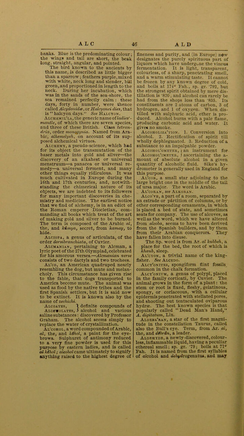 banks. Blue is the predominating colour; the wing* and tail are short, the beak long, straight, angular, and pointed. The bird known to the ancients by this name, is described as little bigger than a sparrow; feathers purple,mixed with white, neck long and slender, bill green, and proportioned in length to the neck. During her incubation, wliich was in the sands of the sea-shore, the sea remained perfectly calm: these days, forty in number, were thence called Alcydonidce, or Haleyonei dies, that is “ halcyon days.” See Halcyon. Alchemil'la, the genetic name of ladies' - mantle, of which there are seven species, and three of these British. Class tetran- dria, order monogynia. Named from Ara- bic, alkernelyeh, on account of its sup- posed alchemical virtues. Alchemy, a pseudo-science, which had for its object the transmutation of the baser metals into gold and silver—the discovery of an alkahest or universal menstruum—a panacea or universal re- medy—a universal ferment, and many other things equally ridiculous. It was much cultivated in Europe during the I6th and 17th centuries, and, notwith- standing the chimerical nature of its objects, we are indebted to its followers for many important discoveries in che- mistry and medicine. The earliest notice that we find of alchemy, is in an edict of the Roman emperor Diocletian, com- manding all books which treat of the art of making gold and silver to be burned. The term is composed of the Arabic al, the, and kdmya, secret, from kamay, to hide. Alciopa, a genus of articulata, of the order dorsibranchiata, of Cuvier. Alcmanian, pertaining to Aleman, a lyric poet of the 27th Olympiad, celebrated for his amorous verses.—Alcmanian verse consists of two dactyls and two trochees. Al'co, an American quadruped nearly resembling the dog, but mute and melan- choly. This circumstance has given rise to the fable, that dogs transported to America become mute. The animal was used as food by the native tribes and the first Spanish settlers, but it is said now to be extinct. It is known also by the name of zechichi. Alcoates, 1 definite compounds of Alcowolates, i alcohol and various 6aline substances: discovered by Professor Graham. The alcohol seems simply to replace the water of crystallization. Al'cohol, a word compounded of Arabic, al, the, and Wiol, a paint for the eye- brows. Sulphuret of antimony reduced to a very fine powder is used for this purpose by eastern ladies, and is called al kdhnl; alcohol came ultimately to signify anything raised to the highest degree of fineness and purity, and (in Europe) now designates the purely spirituous part of liquors which have undergone the vinous fermentation. It is light, transparent, colourless, of a sharp, penetrating smell, and a warm stimulating taste. It cannot be frozen by any known degree of cold, and boils at 174° Fah., sp. gr. ‘792, but the strongest spirit obtained by mere dis- tillation is ’820; and alcohol can rarely be had from the shops less than '835. Its constituents are 2 atoms of carbon, 3 of hydrogen, and 1 of oxygen. When dis- tilled with sulphuric acid, ether is pro- duced. Alcohol burns with a pale flame, producing carbonic acid and water. It gives no smoke. Alcoholiza'tion. 1. Conversion into alcohol. 2. Rectification of spirit till wholly dephlegmated. 3. Reduction of a substance to an impalpable powder. Alcohol'ometer, \ an instrument for Alcohol'imeter, ) ascertaining the a- mount of absolute alcohol in a given quantity of alcoholic fluid. Sike’s hy- drometer is generally used in England for this purpose. Al'cor, a small star adjoining to the large bright one in the middle of the tail of ursa major. The word is Arabic. Al'coran, see Alkorax. Alco've, a part of a room, separated by an estrade or partition of columns, or by other corresponding ornaments, in which is placed a bed of state, and sometimes seats for company. The use of alcoves, as well as the word, which we have altered from alcoba, seems to have been deri ved from the Spanish builders, and by them from their Arabian conquerors. They have fallen into disuse. The Sp. word is from Ar. al kubbeh, a place for the bed, the root of which is khaub, sleep. Al'cyon, a trivial name of the king- fisher. Sec Alcedo. Alcy'onites, spongiform flint fossils, common in the chalk formation. Alcy'onium, a genus of polypi, placed in the family corticati, by Cuvier. The animal grows in the form of a plant: the stem or root is fixed, fleshy, gelatinous, spongy, or coriaceous, with a cellular epidermis penetrated with stellated pores, and shooting out tentaculated oviparous hydra;. The best known species is that popularly called “ Dead Man’s Hand,” A. digitatum, Lin. Aldeba'ran, a star of the first magni- tude in the constellation Taurus, called also the Bull’s eye. Term, from Ar. al, the, and dtbrdn, a leader. Aldehyde, a newly-discovered, colour- less, inflammable liquid, having a peculiar ethereal smell; sp. gr. ‘79; boils at 71® Fah. It is named from the first syllables of alcohol and lichydrogenatus, and may