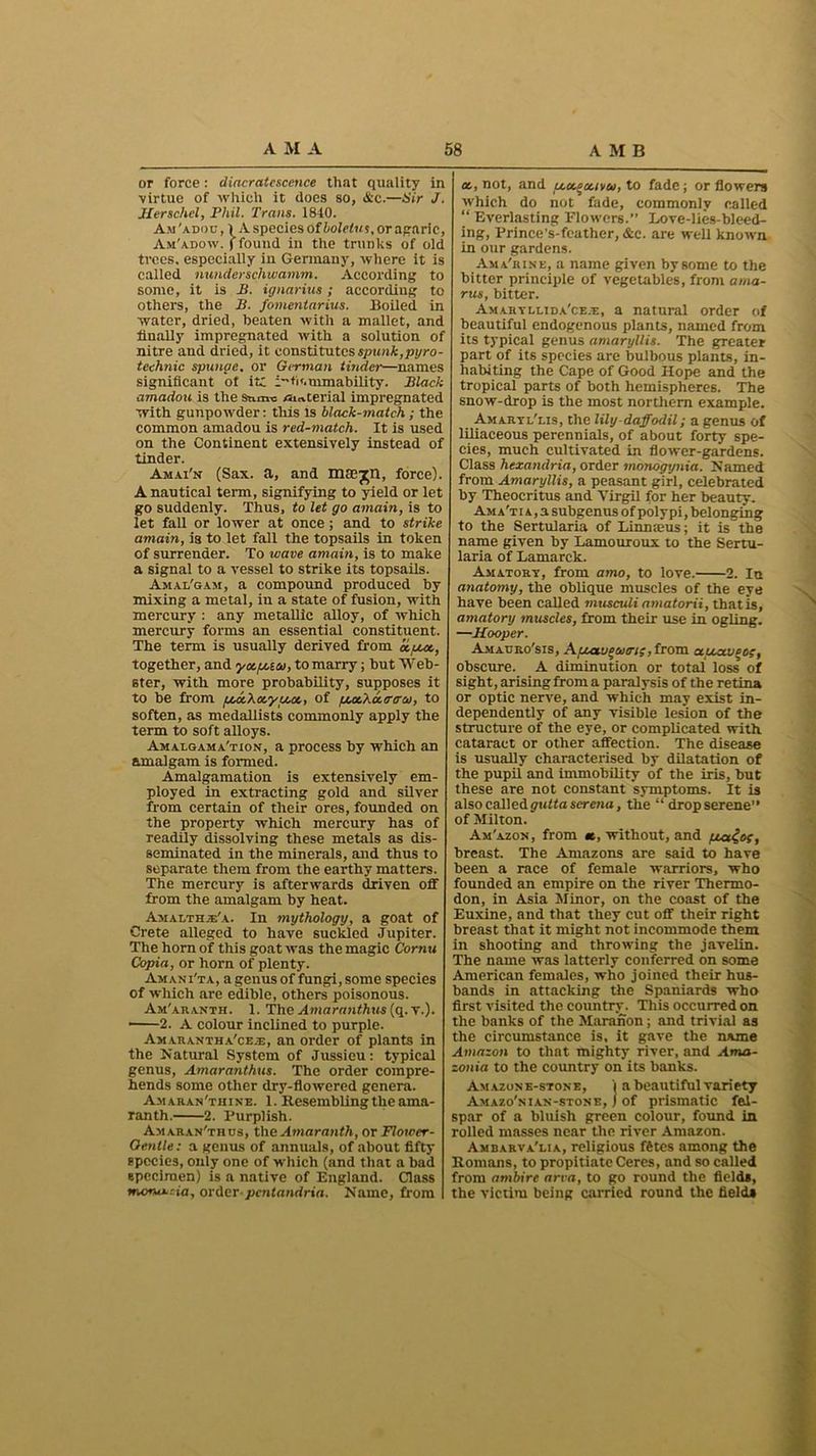 or force: diacratescence that quality in virtue of which it does so, &c.—Sir J. Herschel, Phil. Trans. 1840. Am 'adoc ,) A species of boletus, or agaric, Am'adow. (found in the trunks of old trees, especially in Germany, where it is called nunderschwamm. According to some, it is B. ignarius; according to others, the B. fomentarius. Boiled in water, dried, beaten with a mallet, and finally impregnated with a solution of nitre and dried, it constitutes spunk,pyro- technic spunge, or German tinder—names significant of it; mmability. Black amadou is the snave material impregnated with gunpowder: this is black-match.; the common amadou is red-match. It is used on the Continent extensively instead of tinder. Amai'n (Sax. a, and mseTll, force). A nautical term, signifying to yield or let go suddenly. Thus, to let go amain, is to let fall or lower at once; and to strike amain, is to let fall the topsails in token of surrender. To wave amain, is to make a signal to a vessel to strike its topsails. Amal'gam, a compound produced by mixing a metal, in a state of fusion, with mercury : any metallic alloy, of which mercury forms an essential constituent. The term is usually derived from a.put., together, and yoc.fjt.iu, to marry; but Web- ster, with more probability, supposes it to be from ptM.Xooyu.oo, of UM.hoc.trtru, to soften, as medallists commonly apply the term to soft alloys. Amalgamation, a process by which an amalgam is formed. Amalgamation is extensively em- ployed in extracting gold and silver from certain of their ores, founded on the property which mercury has of readily dissolving these metals as dis- seminated in the minerals, and thus to separate them from the earthy matters. The mercury is afterwards driven off from the amalgam by heat. Amalthie'a. In mythology, a goat of Crete alleged to have suckled Jupiter. The horn of this goat was the magic Cornu Copia, or horn of plenty. Amani'ta, a genus of fungi, some species of which are edible, others poisonous. Am'aranth. 1. The Amaranthus (q. v.). • 2. A colour inclined to purple. Amaranth a'ce.b, an order of plants in the Natural System of Jussieu: typical genus, Amaranthus. The order compre- hends some other dry-flowered genera. Amaran'thine. 1. Resembling the ama- ranth. 2. Purplish. Amaran'thus, the Amaranth, or Flower- Gentle: a genus of annuals, of about fifty species, only one of which (and that a bad epeciraen) is a native of England. Class monuria, order- pcntandria. Name, from oo, not, and uccoocivu, to fade; or flowers which do not fade, commonly called “ Everlasting Flowers.” Love-lies-bleed- ing, Prince’s-feather, &c. are well known in our gardens. Ama'rink, a name given by some to the bitter principle of vegetables, from ama- rus, bitter. Amartllida'ce.e, a natural order of beautiful endogenous plants, named from its typical genus amaryllis. The greater part of its species are bulbous plants, in- habiting the Cape of Good Hope and the tropical parts of both hemispheres. The snow-drop is the most northern example. Amartl'lis, the lily daffodil; a genus of liliaceous perennials, of about forty spe- cies, much cultivated in flower-gardens. Class hexandria, order monogynia. Named from Amaryllis, a peasant girl, celebrated by Theocritus and Virgil for her beauty. Am a't i a , a subgenus of poly pi, belonging to the Sertularia of Linmeus; it is the name given by Lamouroux to the Sertu- laria of Lamarck. Amatory, from amo, to love. 2. In anatomy, the oblique muscles of the eye have been called musculi amatorii, thatis, amatory muscles, from their use in ogling. —Hooper. Amagro'sis, Afjcauoutri;,irom. ctuav^o;, obscure. A diminution or total loss of sight, arising from a paralysis of the retina or optic nerve, and which may exist in- dependently of any visible lesion of the structure of the eye, or complicated with cataract or other affection. The disease is usually characterised by dilatation of the pupil and immobility of the iris, but these are not constant symptoms. It is also call oUgutta serena, the “ drop serene” of Milton. Am'azon, from to, without, and pianos, breast. The Amazons are said to have been a race of female warriors, who founded an empire on the river Thermo- don, in Asia Minor, on the coast of the Euxine, and that they cut off their right breast that it might not incommode them in shooting and throwing the javelin. The name was latterly conferred on some American females, who joined their hus- bands in attacking the Spaniards who first visited the country. This occurred on the banks of the Maranon; and trivial as the circumstance is. it gave the name Amazon to that mighty river, and Ama- zonia to the country on its banks. Amazon e-stone, j a beautiful variety Amazo'nian-stone, J of prismatic fel- spar of a bluish green colour, found in rolled masses near the river Amazon. Ambarva'lia, religious ffites among the Romans, to propitiate Ceres, and so called from ambire area, to go round the fields, the victim being carried round the fields