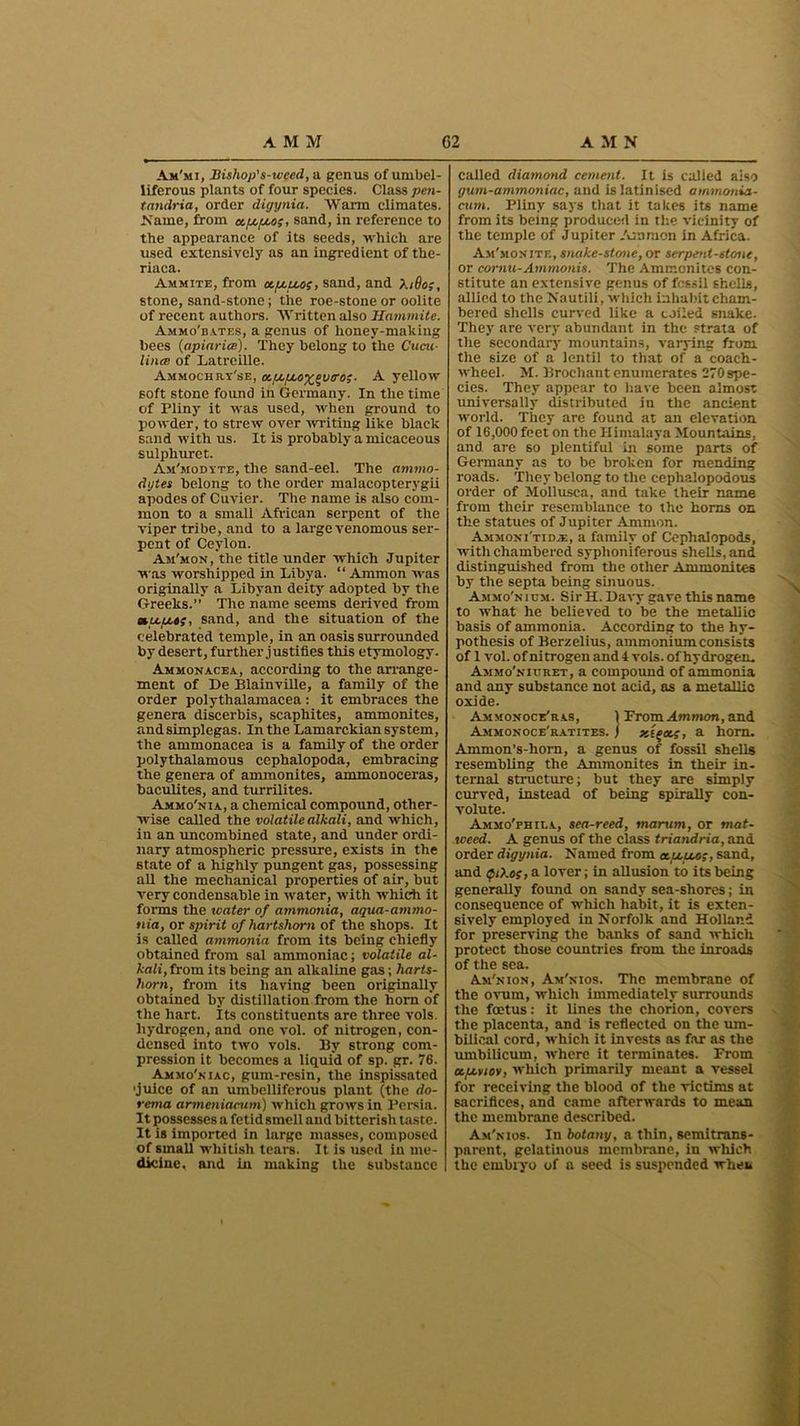 Ajm'mi, Bishop's-weed, a genus of umbel- liferous plants of four species. Class pen- tandria, order digynia. Warm climates. Name, from oLfj.ft.oi, sand, in reference to the appearance of its seeds, which are used extensively as an ingredient of the- riaca. Ammite, from sand, and XtQo;, stone, sand-stone; the roe-stone or oolite of recent authors. Written also Hammite. Ammo’bates, a genus of honey-making bees {tipinrite). They belong to the Cucn- lints of Latrcille. Ammochry'se, a.ij.u.oyfeutroi■ A yellow soft stone found in Germany. In the time of Pliny it was used, when ground to powder, to strew over writing like black sand with us. It is probably a micaceous sulphuret. Am'modyte, the sand-eel. The ammo- dytes belong to the order malacopterygii apodes of Cuvier. The name is also com- mon to a small African serpent of the viper tribe, and to a largevenomous ser- pent of Ceylon. Aji'mon, the title under which Jupiter was worshipped in Libya. “ Ammon was originally a Libyan deity adopted by the Greeks.” The name seems derived from ttu.ft.oi, sand, and the situation of the celebrated temple, in an oasis surrounded by desert,further justifies this etymology. Ammonacea, according to the arrange- ment of De Blainville, a family of the order polythalamacea: it embraces the genera discerbis, scaphites, ammonites, and simplegas. In the Lamarckian system, the ammonacea is a family of the order polythalamous cephalopoda, embracing the genera of ammonites, ammonoceras, baculites, and turrilites. Ammo'nia, a chemical compound, other- wise called the volatile alkali, and which, in an uncombined state, and under ordi- nary atmospheric pressure, exists in the 6tate of a highly pungent gas, possessing all the mechanical properties of air, but very condensable in water, with which it forms the water of ammonia, aqua-ammo- nia, or spirit of hartshorn of the shops. It is called ammonia from its being chiefly obtained from sal ammoniac; volatile al- kali, from its being an alkaline gas; harts- horn, from its having been originally obtained by distillation from the horn of the hart. Its constituents are three vols. hydrogen, and one vol. of nitrogen, con- densed into two vols. By strong com- pression it becomes a liquid of sp. gr. 76. Ammo's iac, gum-resin, the inspissated ’juice of an umbelliferous plant (the do- rema armeniacum) which grows in Persia. It possesses a fetid smell and bitterish taste. It is imported in large masses, composed of small whitish tears. It is used in me- dicine. and in making the substance called diamond cement. It is called aiso gum-ammoniac, and is latinised ammonia- cum. Pliny says that it takes its name from its being produced in the vicinity of the temple of Jupiter Ammon in Africa. Am'monjtf., snake-stone, or serpent-stone, or cornu-Ammonis. The Ammonites con- stitute an extensive genus of fossil shells, allied to the Nautili, which inhabit cham- bered shells curved like a coiled snake. They are very abundant in the strata of the secondary mountains, varying from the size of a lentil to that of a coach- wheel. M. Brochant enumerates 270spe- cies. They appear to have been almost universally distributed in the ancient world. They are found at an elevation of 16,000 feet on the Himalaya Mountains, and are so plentiful in some parts of Germany as to be broken for mending roads. They belong to the cephaiopodous order of Mollusca, and take their name from their resemblance to the horns on the statues of Jupiter Ammon. Ammon i'tidje, a family of Ceplialopods, with chambered syplioniferous shells, and distinguished from the other Ammonites by the septa being sinuous. A.mmo'nicm. Sir H. Davy gave this name to what he believed to be the metallic basis of ammonia. According to the hy- pothesis of Berzelius, ammonium consists of 1 vol. of nitrogen and 4 vols. of hydrogen, Ammo'nicret, a compound of ammonia and any substance not acid, as a metallic oxide. Ammonoce'ras, 1 Prom Ammon, and Ammonoce'ratites. j xif’tt.i, a horn. Ammon’s-horn, a genus of fossil shells resembling the Ammonites in their in- ternal structure; but they are simply curved, instead of being spirally con- volute. Ammo'phila, sea-reed, marum, or mat- weed. A genus of the class triandria, and order digynia. Named from antes?, sand, and <pt).oi, a lover; in allusion to its being generally found on sandy sea-shores; in consequence of which habit, it is exten- sively employed in Norfolk and Holland for preserving the banks of sand which protect those countries from the inroads of the sea. Am'nion, Am'nios. The membrane of the ovum, which immediately surrounds the foetus: it lines the chorion, covers the placenta, and is reflected on the um- bilical cord, which it invests as far as the umbilicum. where it terminates. From oLfjLviov, which primarily meant a vessel for receiving the blood of the victims at sacrifices, and came afterwards to mean the membrane described. Am'nios. In botany, a thin, semitrans- parent, gelatinous membrane, in which the embryo of a seed is suspended when