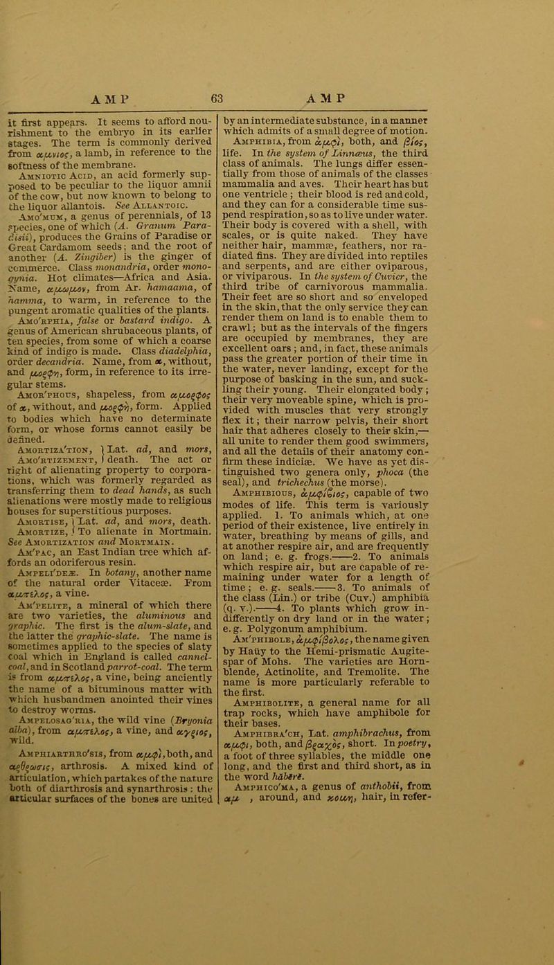 it first appears. It seems to afford nou- rishment to tlie embryo in its earlier stages. The term is commonly derived from ot.fjt.viof, a lamb, in reference to the softness of the membrane. Amniotic Acid, an acid formerly sup- posed to be peculiar to the liquor amnii of the cow, but now known to belong to the liquor allantois. See Allantoic. Amo'mck, a genus of perennials, of 13 species, one of which (A. Granum Para- disii), produces the Grains of Paradise or Great Cardamom seeds; and the root of another {A. Zingiber) is the ginger of commerce. Class moncindria, order mono- gynia. Hot climates—Africa and Asia, jiame, afAUftov, from Ar. liamaama, of aanima, to warm, in reference to the pungent aromatic qualities of the plants. Amo'rphia, false or bastard indigo. A genus of American shrubaceous plants, of ten species, from some of which a coarse kind of indigo is made. Class diadelphia, order decandria. Name, from et, without, and fjLo^tp'/}, form, in reference to its irre- gular stems. Amor'phous, shapeless, from ctuo^Qo; of *, without, and fjcceQr,, form. Applied to bodies which have no determinate form, or whose forms cannot easily be defined. Amortization, 1 Lat. ad, and mors, Amo'rtizement, i death. The act or right of alienating property to corpora- tions, which was formerly regarded as transferring them to dead hands, as such alienations were mostly made to religious houses for superstitious purposes. Amortise, ) Lat. ad, and mors, death. Amortize, i To alienate in Mortmain. See Amortization and Mortmain. Am'pac, an East Indian tree which af- fords an odoriferous resin. Ampeli'deje. In botany, another name of the natural order Vitaeece. From otzt!TtXof, a vine. Am'pelite, a mineral of which there are two varieties, the aluminous and graphic. The first is the alum-slate, and the latter the graphic-slate. The name is sometimes applied to the species of slaty coal which in England is called canncl- coal, and in Scotlandpnrrot-coaZ. The term is from cc/xtrihof, a vine, being anciently the name of a bituminous matter with which husbandmen anointed their vines to destroy worms. Ampelosag'ria, the wild vine (Bryonia ai/ifi), from ct/jvrikof, a vine, and ccygiof, Amphiarthro'sis, from oopt,0/,both, and aqfyanrif, arthrosis. A mixed kind of articulation, which partakes of the nature both of diarthrosis and synarthrosis : the articular surfaces of the bones are united by an intermediate substance, in a manner which admits of a small degree of motion. Amphibia, from Zt.fjt.Qi, both, and (Zto;, life. In the system of Linnteus, the third class of animals. The lungs differ essen- tially from those of animals of the classes mammalia and aves. Their heart has but one ventricle; their blood is red and cold, and they can for a considerable time sus- pend respiration, so as to live under water. Their body is covered with a shell, with scales, or is quite naked. They have neither hair, mammas, feathers, nor ra- diated fins. They are divided into reptiles and serpents, and are either oviparous, or viviparous. In the system of Cuvier, the third tribe of carnivorous mammalia. Their feet are so short and so enveloped in the skin, that the only service they can render them on land is to enable them to crawl; but as the intervals of the fingers are occupied by membranes, they are excellent oars ; and, in fact, these animals pass the greater portion of then- time in the water, never landing, except for the purpose of basking in the sun, and suck- ling their young. Their elongated body ; their very moveable spine, which is pro- vided with muscles that very strongly flex it; their narrow pelvis, their short hair that adheres closely to their skin,— all unite to render them good swimmers, and all the details of their anatomy con- firm these indicise. We have as yet dis- tinguished two genera only, phoca (the seal), and trichechus (the morse). Amphibious, Zoft-QiSiof, capable of two modes of life. This term is variously applied. 1. To animals which, at one period of their existence, live entirely in water, breathing by means of gills, and at another respire air, and are frequently on land; e. g. frogs. 2. To animals wrhich respire air, but are capable of re- maining under water for a length of time; e. g. seals. 3. To animals of the class (Lin.) or tribe (Cuv.) amphibia (q. v.). 4. To plants -which grow in- differently on dry land or in the water; e.g. Polygonum amphibium. AM'rHiB0LE,a(iz<p//3ijAsf, the name given by Hatiy to the Hemi-prismatic Augite- spar of Mohs. The varieties are Horn- blende, Actinolite, and Tremolite. The name is more particularly referable to the first. Amphibolite, a general name for all trap rocks, which have ampliibole for their bases. Amphibra'ch, Lat. amphibrachus, from tx.fjt.Qi, both, and /3ga£0f, short. In poetry, a foot of three syllables, the middle one long, and the first and third short, as in the word Mblrl. Amphico'ma, a genus of anthobii, from afj. , around, and y.ou.rt, hair, in refer-