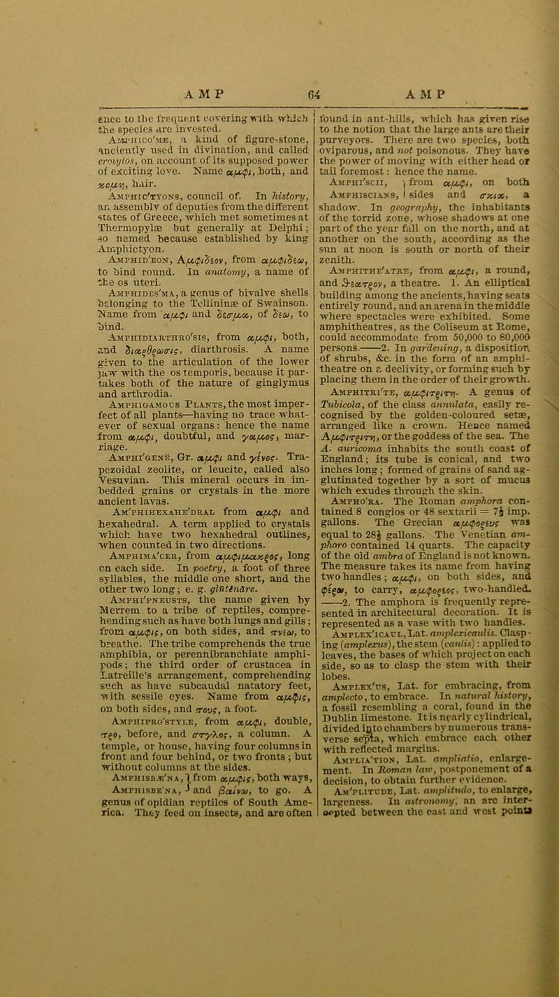 elite to tlic frequent covering with which J the species are invested. Amj-hico'me, .'i kind of figure-stone, anciently used in divination, and called croiylos, on account of its supposed power of exciting love. Name etpufi, both, and kou'-u hair. Amphic'ttons, council of. In history, ar. assembly of deputies from the different states of Greece, which met sometimes at Thermopylae but generally at Delphi; so named because established by king Amphictyon. Amphid'eon, ApcQidiov, from au,$i otco, to bind round. In anatomy, a name of the os uteri. Amphides'ma, a genus of bivalve shells belonging to the Teliinime of Swainson. Name from ’ct/xQi and ourosot., of h-ai, to bind. Amphidiarthro'sis, from au.<pi, both, and iia^deonrii, diarthrosis. A name given to the articulation of the lower jaw with the os temporis, because it par- takes both of the nature of ginglymus and arthrodia. Amphiqamocs Plants, the most imper- fect of all plants—having no trace what- ever of sexual organs: hence the name from otfAipi, doubtful, and ya.pu>z, mar- riage. Amphi'gene, Gr. ot/j/pi and ytvos- Tra- pezoidal zeolite, or leucite, called also Vesuvian. Tliis mineral occurs in im- bedded grains or crystals in the more ancient lavas. Am'phihexahe'dral from u/Mft and hexahedral. A term applied to crystals which have two hexahedral outlines, when counted in two directions. Amphima'cer, from ctpupiputKeo;, long c-n each side. In poetry, a foot of three syllables, the middle one short, and the other two long; e. g. gltitinare. Amphi'pneusts, the name given by Merrem to a tribe of reptiles, compre- hending such as have both lungs and gills; from apupiz, on both sides, and trvtai, to breathe. The tribe comprehends the true amphibia, or perennibranchiate amphi- pods; the third order of Crustacea in Eatreille’s arrangement, comprehending such as have subcaudal natatory feet, with sessile eyes. Name from ctfxQi;, on both sides, and zrati;, a foot. Amfhipro'style, from ctpupi, double, T£«, before, and rrryXoz, a column. A temple, or house, having four columns in front and four behind, or two fronts ; but without columns at the sides. Amphisbae'na,! from oeu^iz, both ways, Amphisbe'na, J and fiui'va/, to go. A genus of opidian reptiles of South Ame- rica. They feed on insects, and are often found in ant-hills, which has given rise to the notion that the large ants are their purveyors. There are two species, both oviparous, and not poisonous. They have the power of moving with either head or tail foremost: hence the name. Amphi'scii, ) from a/Mfi, on both Amphiscians, I sides and erzix, a shadow. In geography, the inhabitants of the torrid zone, whose shadows at one part of the year fall on the north, and at another on the south, according as the sun at noon is south or north of their zenith. Amphithe'atre, from ctpufi, a round, and ,9-sa-rfov, a theatre. 1. An elliptical building among the ancients, having seats entirely round, and an arena in the middle where spectacles were exhibited. Some amphitheatres, as the Coliseum at Rome, could accommodate from 50,000 to 80,000 persons. 2. In gardening, a disposition. of shrubs, &c. in the form of an amphi- theatre on ?. declivity, or forming such by placing them in the order of their growth. Amphitri'te, ce.LO$iTciTYr A genus of Tubicola, of the class annulata, easily re- cognised by the golden-coloured setae, arranged like a crown. Hence named ApupireiTV), or the goddess of the sea. The A. auricoma inhabits the south coast of England; its tube is conical, and two inches long; formed of grains of sand ag- glutinated together by a sort of mucu3 which exudes through the skin. Ampho'ra. The Roman amphora con- tained 8 congios or 48 sextarii = 7$ imp. gallons. The Grecian ce/Mpocivz was equal to 28$ gallons. The Venetian am- phora contained 14 quarts. The capacity of the old ambra of England is not known. The measure takes its name from having two handles; a.u$i, on both sides, and <p£g<w, to carry, &pupot>to;, two-handled. 2. The amphora is frequently repre- sented in architectural decoration. It is represented as a vase with two handles. AMPLEx'iCACL.Lat. aniplexicauJis. Clasp- ing {amplexus), the stem (cantis): applied to leaves, the bases of which project on each side, so as to clasp the stem with their lobes. Amflex'us, Eat. for embracing, from amplecto, to embrace. In natural history, a fossil resembling a coral, found in the Dublin limestone. It is nearly cylindrical, divided into chambers by numerous trans- verse sejiia, which embrace each other with reflected margins. Ampliation, Lat. ampliatio, enlarge- ment. In Roman law, postponement of a decision, to obtain further evidence. Am'plitude, Lat. ampUtudo, to enlarge, largeness. In astronomy, an arc inter- cepted between the east and west point*