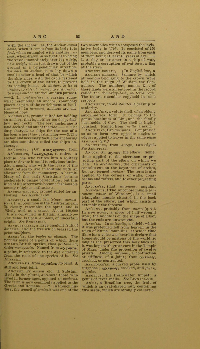 ■with theaachor: as, the anchor comes home, when it comes from its bed; it is foul, when entangled with another ; a- peak, when drawn in so tight as to bring the vessel immediately over it; a-trip, or a-u-eigh, when just drawn out of the ground in a perpendicular direction. To back an anchor, is to lay down a small anchor a-head of that by which the ship rides, with the cable fastened to the crown of the latter, to prevent its coming home. At anchor, to He at anchor, to ride at anchor, to cast anchor, to weigh anchor, are well-known phrases. 2. In architecture, a carving some- what resembling an anchor, commonly placed as part of the enrichment of boul- tins. 3. In heraldry, anchors are em blems of hope. An'chorage, ground suited for holding an anchor, that is, neither too deep, shal- low, nor rocky. The best anchorage is land-locked and out of the tide. 2. The duty charged to ships for the use of a harbour where they cast anchor 3. The anchor and necessary tackle for anchoring are also sometimes called the ship’s an- chorage. An'choret, ) Gr. Kvoc^w^rr,;, from An'chorite, ) to retire. A recluse: one who retires into a solitary place to devote himself to religious duties. Also a monk, who with the leave of the abbot retires to live in solitude with an allowance from the monastery. A hermit. Many of the early Christians became anchorets to escape persecution; but this kind of life afterwards became fashionable among religious enthusiasts. Anchor-ground, ground suited for an- choring. See Anchorage. Anchovy, a small fish (clupea encrasi- eolus, I.in.),common in the Mediterranean. It closely resembles the sprat, and is $detty used as a sauce. About 120,000 k. are consumed in Britain annually.— Aw name is Span, anchova, of uncertain origin. See Enguaui.is. Anchovy-pear, a large esculent fruit of Jamaica: also the tree which bears it, the grias cauliflora. Anchu'sa, the buglos or alkanet. The popular name of a genus of which there are two British species, class pentandria, order monogynia. Named front ocyyoucrex., a paint, in reference to the dye obtained from the roots of one species of it. See Alkanet. Anciiylo'sis, from ccyzvXoa/, to bend. A Stiff and bent joint. Ancient, Fr. ancien, old. 1. Substan- tively in the plural, ancients: those who lived in former ages, opposed to moderns. The term is now commonly applied to the Greeks and H-omaus. 2. In French his- tory, the council of ancients was one of the two assemblies which composed the legis- lative body in 1795. It consisted of 250 members, and derived its name from each. of them being at least 40 years of age. 3. A flag or streamer in a ship of war, probably a corruption of end-sheet, a flag at the stern. Ancient-domain, ) In English law, a Antient-demesne. f tenure by which all manors belonging to the crown were held in the reign of 'William the Con- queror. The numbers, names, &c., of these lands were all entered in the record called the domesday-book, as terra regis. The tenure resembles copyhold in some respects. Anciently, in old statutes, eldership or seniority. Ancilla'ria, a volute shell, of an oblong subcylindrical form. It belongs to the genus buccinum of Lin., and the family buccinoida of Cuv. The shell is highly polished. Named from ancilla, a maid. Ancif'ital, Lat. ancipitas. Compressec so as to form two opposite angles or edges: applied to leaves in the same sense as anceps (,q. v.)t Ancipitous, from anceps, two-edged. See Ancipital. An'con, Gr. ctyxoiv, the elbow. Some- times applied to the olecranon or pre- lecting part of the elbow on which we lean. In architecture, the ornaments or consoles cut on the keystones of arches, &c., are termed anednes. The term is also applied to the corners of walls, cross- beams and rafters, and to other projecting parts. Ancono'se, \ Lat. anconeus, angular. Anco'nous, j The anconose muscle (an- coneus minor of ’Winslow), is a small triangular muscle situated in the back part of the elbow, and which assists in extending the forearm. An'cony, probably from ancon (q.v.). In iron tvorks, a piece of half-wrought iron; the middle is of the shape of a bar, but the ends are unwrought. Ancy'le. In antiquity, a shield, which it was pretended fell from heaven in the reign of Numa Pompilius, at which time likewise a voice was heard to declare that Home should be mistress of the world, so long as she preserved this holy buckler; it was kept with great care in the Temple of Mars, under the protection of twelve priests. Among surgeons, a contraction or stiffness of a joint; from ayxv'kos, crooked, or contracted. Ancylome'le, a curved probe used by surgeons ; ayxukos, crooked, and a probe. Ancylus, the fresh-water limpet; a genus of river snails. See Limnacian.®. An'da, a Brazilian tree, the fruit of which is an oval-shaped nut, containing two seeds, which are strongly cathartic.