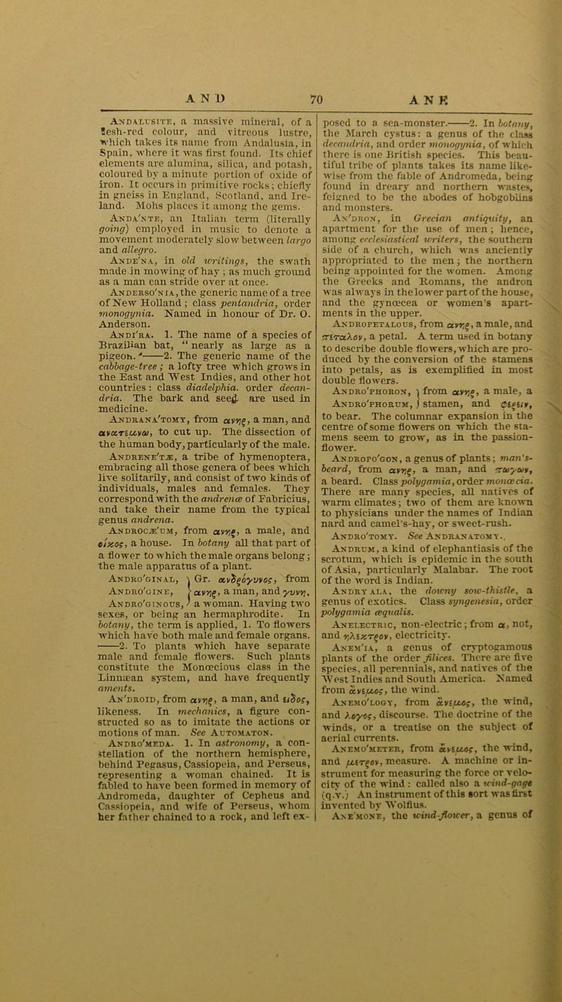 And alusite, a massive mineral, of a !esh-red colour, and vitreous lustre, which takes its name from Andalusia, in Spain, where it was first found. Its chief elements are alumina, silica, and potash, coloured by a minute portion of oxide of iron. It occurs in primitive rocks; chiefly in gneiss in England, Scotland, and Ire- land. Mohs places it among the gems. Anda'nte, an Italian term (literally going) employed in music to denote a movement moderately slow between largo and allegro. Anbe'sa, in old writings, the swath made in mowing of hay ; as much ground as a man can stride over at once. Anderso'n ia, the generic name of a tree of New Holland ; class pentandria, order monogynia. Named in honour of Dr. O. Anderson. Andi'ra. 1. The name of a species of Brazilian bat, “ nearly as large as a pigeon. • 2. The generic name of the cabbage-tree ; a lofty tree which grows in the East and West Indies, and other hot countries : class diadelphia. order decan- dria. The bark and seed are used in medicine. Andrana'tomy, from av*if, a man, and avccTiuvai, to cut up. The dissection of the human body, particularly of the male. Andrene'tje, a tribe of hymenoptera, embracing all those genera of bees which live solitarily, and consist of two kinds of individuals, males and females. They correspond with the andrente of Fabricius, and take their name from the typical genus amlrena. ANDROCiE'uM, from a male, and e/jsoj, a house. In botany all that part of a flower to which the male organs belong; the male apparatus of a plant. Andro'ginae, \ Gr. ctvtyoyvvos, from Andro'gine, ,■ a man, and yvvv}, Andro'ginous, ' a woman. Having two sexes, or being an hermaphrodite. In botany, the term is applied, 1. To flowers which have both male and female organs. 2. To plants which have separate male and female flowers. Such plants constitute the Monoecious class in the Einmean system, and have frequently aments. An'droid, from av»j§, a man, and u^o;, likeness. In mechanics, a figure con- structed so as to imitate the actions or motions of man. See Automaton. Andro'meda. 1. In astronomy, a con- stellation of the northern hemisphere, behind Pegasus, Cassiopeia, and Perseus, representing a woman chained. It is fabled to have been formed in memory of Andromeda, daughter of Cepheus and Cassiopeia, and wife of Perseus, whom her father chained to a rock, and left ex- posed to a sea-monster. 2. In botany, the March cystus: a genus of the class decandria, and order monogynia, of which there is one British species. This beau- tiful tribe of plants takes its name like- wise from the fable of Andromeda, being found in dreary and northern wastes, feigned to be the abodes of hobgoblins and monsters. An'dron, in Grecian antiquity, an apartment for the use of men ; hence, among ecclesiastical writers, the southern side of a church, which was anciently appropriated to the men; the northern being appointed for the women. Among the Greeks and Homans, the andron was always in the lower part of the house, and the gynoecea or women’s apart- ments in the upper. Andropetalous, from ctvr,o, a male, and tnraXov, a petal. A term used in botany to describe double flowers, which are pro- duced by the conversion of the stamens into petals, as is exemplified in most double flowers. Andro'phoron, i from avr,e, a male, a Andro'phorcm, / stamen, and ctgtiv, to bear. The columnar expansion in the centre of some flowers on which the sta- mens seem to grow, as in the passion- flower. Andropo'gon, a genus of plants; man's- beard, from avgo, a man, and crayon, a beard. Class polygamia, order moncecia. There are many species, all natives of warm climates; two of them are known to physicians under the names of Indian nard and camel’s-hay, or sweet-rush. Andro'tomy. See Andrjln atomy.. Andkum, a kind of elephantiasis of the scrotum, which is epidemic in the south of Asia, particularly Malabar. The root of the word is Indian. Anbryala, the downy soic-thistle, a genus of exotics. Class syngenesia, order polygamia cequalis. Anelectric, non-electric; from a, not, and YjXiKr^ov, electricity. Anem'ia, a genus of cryptogamous plants of the order filices. There are five species, all perennials, and natives of the AVest Indies and South America. Named from a.viu.o;, the wind. Anemo'logy, from ctnuo;, the wind, and ).oyes, discourse. The doctrine of the winds, or a treatise on the subject of aerial currents. Anemo'meter, from the wind, and {Airqov, measure. A machine or in- strument for measuring the force or velo- city of the wind : called also a wind-gage (q.V.) An instrument of this sort was first invented by Wolfius. Ane mone, the wind-flower, a genus of