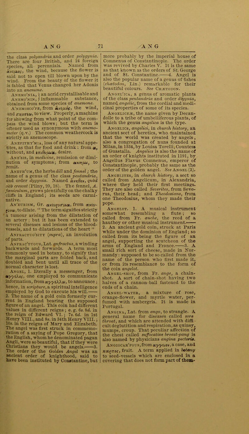the class polyandria and order polygynia. There are four British, and 24 foreign species, all perennials. Named from xvBf&os, the wind, because the flower is said not to open till blown upon by the wind. From the beauty of the flower it is fabled that Venus changed her Adonis into an anemone. Anemo'nia, ) an acrid crystallisable and Anemo'nin, j inflammable substance, obtained from some species of anemone. A'nemosco'pe, from xvipcbs, the wind, and trzomai, to view. Properly, a machine for showing from what point of the com- pass the wind blows; but the term is oftener used as synonymous with anemo- meter (q.v.) The common weathercock is strictly an anemoscope. Anepithy'mia, loss of any natural appe- tites, as that for food and drink ; from a, without, and teuQvyux, desire. Ane'sis, in medicine, remission or dimi- nution of symptoms; from to remit. Aneth'um, the herbs dill and fennel; the name of a genus of the class pentandria, and order dygynia. Named owvidov, qubd eitb crescat (Pliny, 20, 18). The fennel, A. fceniculum, grows plentifully on the chalky cliffs in England; its seeds are carmi- native. An'ehrism, Gr. avsu^vtruot, from xviv- •uvoe, to dilate. “ The term signifies strictly a tumour arising from the dilatation of an artery: but it has been extended to several diseases and lesions of the blood- vessels, and to dilatations of the heart ” Anfracttjo'sity (stipra), an involution of parts. ANFRAc'-ruouSjLat. anfraetus, a winding backwards and forwards. A term most commonly used in botany, to signify that the marginal parts are folded back, and doubled and bent until all trace of the normal character is lost. Angel, 1. literally a messenger, from xyyO.os, one employed to communicate information, from ccyythhcu, to announce ; hence, in scripture, a. spiritual intelligence employed by God to execute his will. 2. The name of a gold coin formerly cur- rent in England bearing the supposed figure of an angel. This coin had different values in different reigns ; e. g. 6s. 8d. in the reign of Edward VI.; 7s. 6d. in 1st Henry VIII., and 8s. in 34th Henry VIII.; 10s. in the reigns of Mary and Elizabeth. The angel was first struck in commemo- ration of a saying of Pope Gregory, that the English, whom he denominated pagan Angli, were so beautiful, that if they were Christians they would be angels. 3. The order of the Golden Angel was an ancient order of knighthood, said to have been instituted by Constantine, but more probably by the imperial house of Comnenus of Constantinople. The order was revived by Charles V. It is the same as that known as the orders of St. George and of St. Constantine. 4. Angel is also the popular name of a genus of fishes 0chcetodon, Lin.) remarkable for their beautiful colours. See CHiETODON. Angel'ica, a genus of aromatic plants of the class pentandria and order dtgynia, named angelic, from the cordial and medi- cinal properties of some of its species. Angeliceje, the name given by Decan- dolle to a tribe of umbelliferous plants, of which the genus angelica is the type. Angelics, angelici, in church history, an ancient sect of heretics, who maintained that the world was created by angels , also a congregation of nuns founded at Milan, in 1534, by Louisa Torelli, Countess of Guastalla. Angelics is also the name of an order of knights instituted in 1191, by Angellus Flavus Comnenus, emperor of Constantinople, probably the same as the order of the golden angel. See An gel (3). Angelites, in church history, a sect so called from Angelicum, in Alexandria, where they held their first meetings. They are also called Severites, from Seve- rus, their head; and Iheodosians, from one Theodosius, whom they made their pope. Angelot. 1. A musical instrument somewhat resembling a flute; so called from Fr. auche, the reed of a hautboy or other musical instrument.-— 2. An ancient gold coin, struck at Paris while under the dominion of England; so called from its being the figure of an angel, supporting the scutcheon of the arms of England and France. 3. A small rich sort of cheese, made in Nor- mandy : supposed to be so called from the name of the person who first made it, or from its resemblance to the form of the coin angelot. Angel-shot, from Fr. ange, a chain- shot. A sort of chain-shot having two halves of a cannon-ball fastened to the ends of a chain. Angel-water, a mixture of rose, orange-flower, and myrtle water, per- fumed with ambergris. It is made in Portugal. Angina, Lat. from ango, to strangle. A general name for diseases called sore throat, and which are attended with diffi - cult deglutition and respiration, as quinsy, mumps, croup. That peculiar affection of the chest called suffocative hreast-pang is also named by physicians angina pectori*. ANGioCAR'pous,from a.y'yuoe, a case, and xoseeroi, fruit. A term applied in botany to seed-vessels which are enclosed in a covering that does not form part of them-