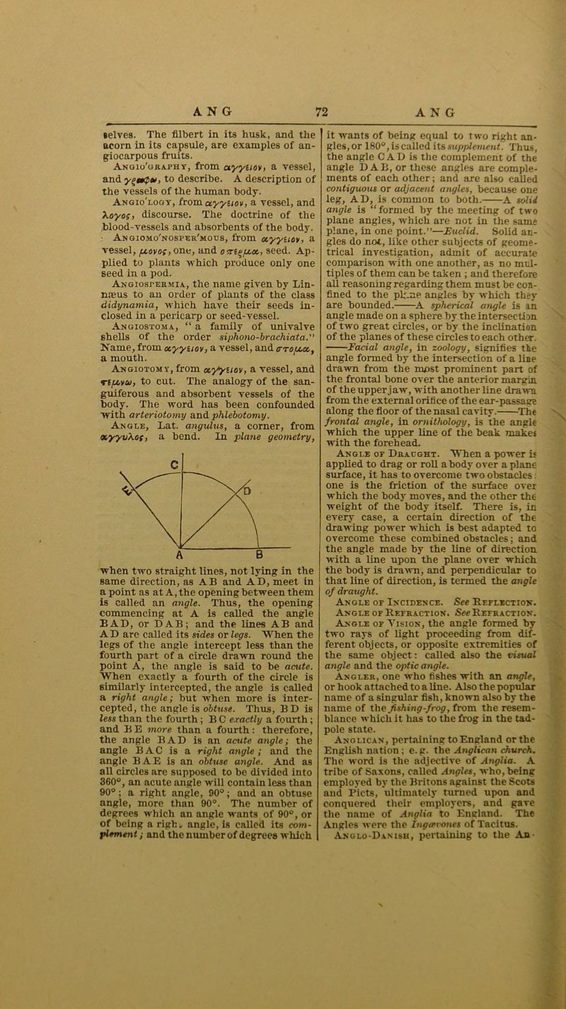 telves. The filbert in its husk, and the acorn in its capsule, are examples of an- giocarpous fruits. Anoio'oraphv, from ayytiov, a vessel, and y^»,to describe. A description of the vessels of the human body. Angio'loqy, from otyyuov, a vessel, and \oyos, discourse. The doctrine of the blood-vessels and absorbents of the body. Angiomo'nosper'moos, from otyyuor, a vessel, /xovot, one, and ocri^pux., seed. Ap- plied to plants which produce only one seed in a pod. Angiostermia, the name given by Lin- nreus to an order of plants of the class didynamia, which have their seeds in- closed in a pericarp or seed-vessel. Angiostoma, “ a family of univalve shells of the order siphono-brachiata. Name, from ocyynov, a vessel, and ctou-u., a mouth. Angiotomv, from oc/yuov, a vessel, and •ripovoi, to cut. The analogy of the san- guiferous and absorbent vessels of the body. The word has been confounded with arteriotomy and phlebotomy. Angle, Lat. angulus, a corner, from xyyuXos, a bend. In plane geometry, when two straight lines, not lying in the same direction, as AB and AD, meet in a point as at A, the opening between them is called an angle. Thus, the opening commencing at A is called the angle BAD, or DAB; and the lines AB and A D are called its sides or legs. When the legs of the angle intercept less than the fourth part of a circle drawn round the point A, the angle is said to be acute. When exactly a fourth of the circle is similarly intercepted, the angle is called a right angle; but when more is inter- cepted, the angle is obtuse. Thus, BD is less than the fourth; B C exactly a fourth; and B B more than a fourth: therefore, the angle BAD is an acute angle; the angle BAC is a right angle; and the angle BAE is an obtuse angle. And as all circles are supposed to be divided into 360°, an acute angle will contain less than 90°; a right angle, 90°; and an obtuse angle, more than 90°. The number of degrees which an angle wants of 90°, or of being a rigk „ angle, is called its com- plement ; and the number of degrees which it wants of being equal to two right an- gles, or 180°, is called its supplement. Thus, the angle CAD is the complement of the angle DAB, or these angles are comple- ments of each other; and are also called contiguous or adjacent angles, because one leg, AD, is common to both. A solid angle is “formed by the meeting of two plane angles, which are not in the same plane, in one point.”—Euclid. Solid an- gles do not, like other subjects of geome- trical investigation, admit of accurate comparison with one another, as no mul- tiples of them can be taken ; and therefore all reasoning regarding them must be con- fined to the pk.ne angles by which they are bounded. A spherical angle is an angle made on a sphere by the intersection of two great circles, or by the inclination of the planes of these circles to each other. Facial angle, in zoology, signifies the angle formed by the intersection of a line drawn from the most prominent part of the frontal bone over the anterior margin of the upper jaw, with another line drawn from the external orifice of the ear-passage along the floor of the nasal cavity. The frontal angle, in ornithology, is the angle which the upper line of the beak makes with the forehead. Angle or Draught. When a power is applied to drag or roll a body over a plane surface, it has to overcome two obstacles. one is the friction of the surface over which the body moves, and the other the weight of the body itself. There is, in every case, a certain direction of the drawing power which is best adapted to overcome these combined obstacles; and the angle made by the line of direction with a line upon the plane over which the body is drawn, and perpendicular to that line of direction, is termed the angle of draught. Angle of Incidence. See Reflection. Angle of Refraction. See Refraction. Angle of Vision, the angle formed by two rays of light proceeding from dif- angle and the optic angle. Angler, one who fishes with an angle, or hook attached to a line. Also the popular name of a singular fish, known also by the name of the fishing-frog, from the resem- blance which it has to the frog in the tad- pole state. Anglican, pertaining to England or the English nation; e. g. the Anglican church. The word is the adjective of Anglia. A tribe of Saxons, called Angles, who, being employed by the Britons against the Scots and Piets, ultimately turned upon and conquered their employers, and gave the name of Anglia to England. The Angles were the Ingcevones of Tacitus. Anglo-Danish, pertaining to the An-