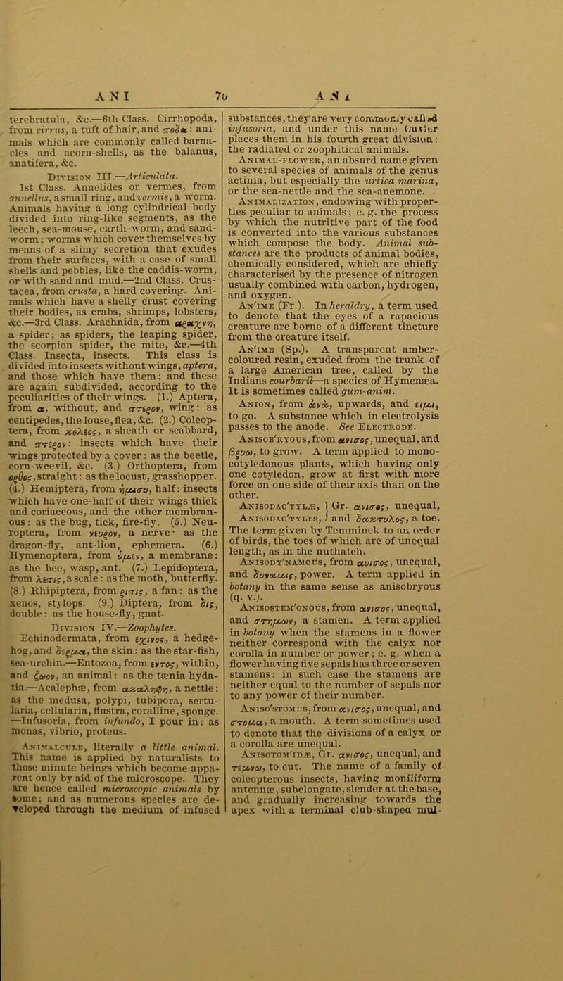 terebratula, &c.—6th Class. Cirrhopoda, from cirrus, a tuft of hair, and crohtc: aui- mals which are commonly called barna- cles and acorn-shells, as the balanus, anatifera, &c. Division III.—Articulata. 1st Class. Annelides or vermes, from annellus, a small l imr, and vermis, a worm. Animals having a long cylindrical body divided into ring-like segments, as the leech, sea-mouse, earth-worm, and sand- worm; worms which cover themselves by means of a slimy secretion that exndes from their surfaces, with a case of small shells and pebbles, like the caddis-worm, or with sand and mud.—2nd Class. Crus- tacea, from crtista, a hard covering. Ani- mals which have a shelly crust covering their bodies, as crabs, shrimps, lobsters, &c.—3rd Class. Arachnida, from ag*£V57, a spider; as spiders, the leaping spider, the scorpion spider, the mite, &c.—4th Class. Insecta, insects. This class is divided into insects without wings, aptera, and those which have them; and these are again subdivided, according to the peculiarities of their wings. (1.) Aptera, from a, without, and itrtgov, wing: as centipedes, the louse, flea, &c. (2.) Coleop- tera, from xoXio;, a sheath or scabbard, and crn^ov- insects which have their wings protected by a cover: as the beetle, corn-weevil, &c. (3.) Orthoptera, from cgSo;, straight: as the locust, grasshopper. (4.) Hemiptera, from yiputrv, half: insects which have one-half of their wings thick and coriaceous, and the other membran- ous : as the bug, tick, fire-fly. (5.) Neu- roptera, from vwpov, a nerve- as the dragon-fly, ant-lion, ephemera. (6.) Hymenoptera, from upav, a membrane: as the bee, wasp, ant. (7.) Lepidoptera, from X'!r;j,ascale: as the moth, butterfly. (8.) Kliipiptera, from y,t/j, a fan: as the xenos, stylops. (9.) Diptera, from double: as the house-fly, gnat. Division IV.—Zoophytes. Eehinodermata, from e%ivos, a hedge- hog, and 7i-oua, the skin: as the star-fish, sea-urchin.—Entozoa, from tyro;, within, and C,woy, an animal: as the taenia hyda- tia.—Acalephre, from atxcch.rtfvi, a nettle: as the medusa, polypi, tubipora, sertu- laria, cellularia, flustra, coralline, sponge. —Infusoria, from infundo, I pour in: as monas, vibrio, proteus. Animalcule, literally a little animal. This name is applied by naturalists to those minute beings which become appa- rent only by aid of the microscope. They are hence called microscopic animals by some; and as numerous species are de- veloped through the medium of infused substances, they are very commonly call #d infusoria, and under this name Cutler places them in his fourth great division : the radiated or zoophitical animals. Animal-flower, an absurd name given to several species of animals of the genus actinia, but especially the urtica marina, or the sea-nettle and the sea-anemone. Animalization, endowing with proper- ties peculiar to animals; e. g. the process by which the nutritive part of the food is converted into the various substances which compose the body. Animal sub- stances are the products of animal bodies, chemically considered, which are chiefly characterised by the presence of nitrogen usually combined with carbon, hydrogen, and oxygen. An'ime (Fr.). In heraldry, a term used to denote that the eyes of a rapacious creature are borne of a different tincture from the creature itself. An'ime (Sp.). A transparent amber- coloured resin, exuded from the trunk of a large American tree, called by the Indians courbaril—a species of Hymensea. It is sometimes called gum-anim. Anion, from oovdo, upwards, and tipoi, to go. A substance which in electrolysis passes to the anode. See Electrode. Anisob'ryous, from etvnro;, unequal, and fig'jai, to grow. A term applied to mono- cotyledonous plants, which having only one cotyledon, grow at first with more force on one side of their axis than on the other. Anisodac'tyl.e, 1 Gr. avurt;, unequal, Anisodac'ttles, > and SocxtvXos, a toe. The term given by Temminck to an order of birds, the toes of which are of unequal length, as in the nuthatch. Anisody'namous, from uvnrog, unequal, and 'hvvoc.Lug, power. A term applied in botany in the same sense as anisobryous (q. v.J. Anisostem'onous, from ctvicro;, unequal, and CT-pfjooiv, a stamen. A term applied in botany when the stamens in a flower neither correspond with the calyx nor corolla in number or power ; e. g. when a flower having five sepals has three or seven stamens: in such case the stamens are neither equal to the number of sepals nor to any power of their number. ANiso'sTOMus,from oovicro;, unequal, and trropca, a mouth. A term sometimes used to denote that the divisions of a calyx or a corolla are unequal. Anisotom'id.®, Gi. ctvnrof, unequal, and npovoi, to cut. The name of a family of coleopterous insects, having moniiiforra antennae, subelongate, slender at the base, and gradually increasing towards the apex with a terminal club-shaped mul-