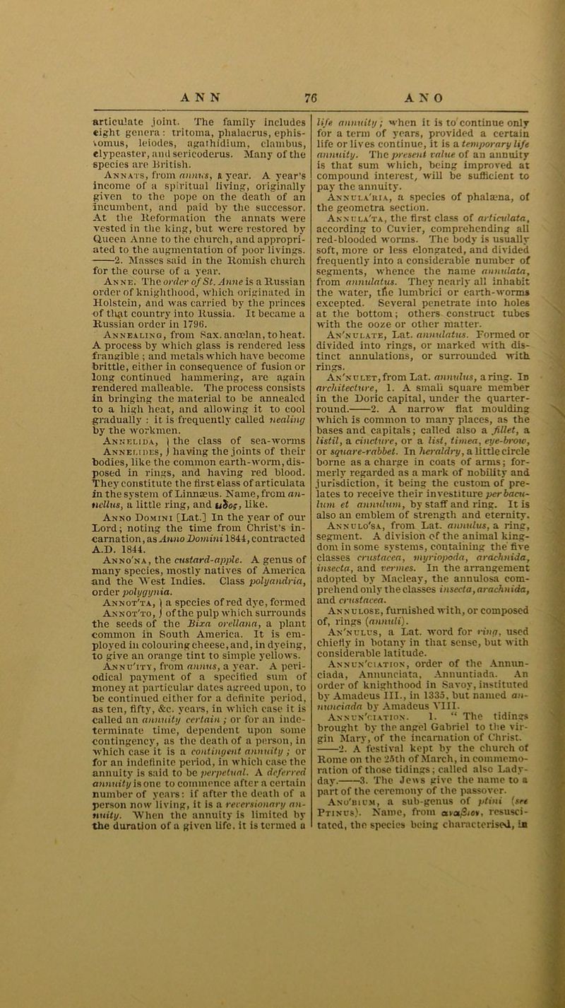 articulate joint. The family includes eight genera : tritoma, phalaerus, ephis- V omus, lciodcs, ngathidium, clnmbus, elypeaster, and sericoderus. Many of tiie species are British. Annats, from annus, a year. A year’s income of a spiritual living, originally given to the pope on the death of an incumbent, and paid by the successor. At the Reformation the annats were vested in the king, but were restored by Queen Anne to the church, and appropri- ated to the augmentation of poor livings. 2. Masses said in the Romish church for the course of a year. An ne. The order of St. Anne is a Russian order of knighthood, which originated in Holstein, and was carried by the princes of tliat country into Russia. It became a Russian order in 1796. Annealing, from Sax.ancelan, toheat. A process by which glass is rendered less frangible ; and metals which have become brittle, either in consequence of fusion or long continued hammering, arc again rendered malleable. The process consists in bringing the material to be annealed to a high heat, and allowing it to cool gradually : it is frequently called nealing by the workmen. Annelida, | the class of sea-worms Annei.ides, ) having the joints of their bodies, like the common earth-worm,dis- posed in rings, and having red blood. They constitute the first elass of articulata in tlie system of Linnaeus. Name, from an- ticllus, a little ring, and ubo;, like. Anno Domini [Lat.] In the year of our Lord; noting the time from Christ’s in- carnation , as Anno Domini 1844, contracted A.D. 1844. Anno'na, the custard-apple. A genus of many species, mostly natives of America and the 'West Indies. Class polyandria, order polygynia. Annot'ta, 1 a species of red dye, formed Annot'to, j of the pulp which surrounds the seeds of the Bixa orellana, a plant common in South America. It is em- ployed in colouring cheese, and, in dyeing, to give an orange tint to simple yellows. Annu'itv, from annus, a year. A peri- odical payment of a specified sum of money at particular dates agreed upon, to be continued either for a definite period, as ten, fifty, &c. years, in which case it is called an annuity certain ; or for an inde- terminate time, dependent upon some contingency, as the death of a person, in which case it is a contingent annuity ; or for an indefinite period, in which case the annuity is said to be perpetual. A deferred annuity is one to commence after a certain number of years: if after the death of a person now living, it is a reversionary an- nuity. When the annuity is limited by the duration of a given life, it is termed a life annuity; when it is to continue only for a term of years, provided a certain life or lives continue, it is a temporary life annuity. The present value of an annuity is that sum which, being improved at compound interest, will be sufficient to pay the annuity. Annula'ria, a species of phalama, of the geometra section. Anncla'ta, the first class of articidata, according to Cuvier, comprehending all red-blooded worms. The body is usually soft, more or less elongated, and divided frequently into a considerable number of segments, whence the name annulata, from annulatus. They nearly all inhabit the water, tfie lumbrici or earth-worms excepted. Several penetrate into holes at the bottom; others construct tubes with the ooze or other matter. An'nulate, ’Lat. annulatus. Formed or divided into rings, or marked with dis- tinct annulations, or surrounded with rings. An'ndlet,from Lat. annulus, aring. In architecture, 1. A small square member in the Doric capital, under the quarter- round. 2. A narrow flat moulding which is common to many places, as the bases and capitals; called also a fillet, a listil, a cincture, or a list, timea, eye-brow, or square-rabbet. In heraldry, a little circle borne as a charge in coats of arms; for- merly regarded as a mark of nobility and jurisdiction, it being the custom of pre- lates to receive their investiture perbacu- lum et annulum, by staff and ring. It is also au emblem of strength and eternity. Annulo'sa, from Lat. anmdus, a ring, segment. A division of the animal king- dom in some systems, containing the five classes Crustacea, myriopoda, araclmida, insecta, and vermes. In the arrangement adopted by Macleay, the anuulosa com- prehend only theclasses insecta,arachnida, and crustacea. Annulose, furnished with, or composed of, rings (annuli). An'nulcs, a Lat. word for ring, used chiefly in botany in that sense, but with considerable latitude. Annun'ciation, order of the Anntin- ciada, Annunciata, Annuntiada. An order of knighthood in Savoy, instituted by Amadeus III., in 1335, but named an- nunciada by Amadeus Till. Annun'ciation. 1. “ The tidings brought by the angel Gabriel to the vir- gin Mary, of the incarnation of Christ. 2. A festival kept by the church of Rome on the 25th of March, in commemo- ration of those tidings; called also Lady- day. 3. The Jens give the name to a part of the ceremony of the passover. Ano'bic.m, a sub-genus of ptini (see Ptinus). Name, from txvaSies, resusci- tated, the species being characterised, in